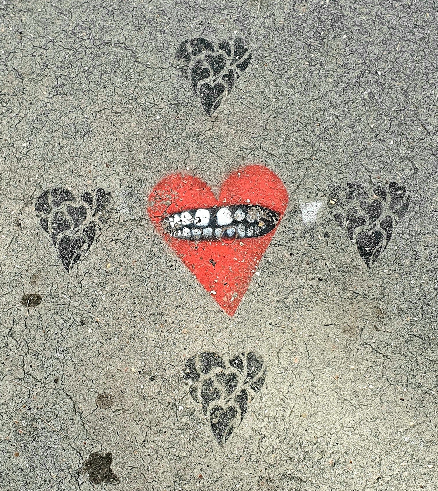 
								Street-art graffiti fresque 
								Velour 
									66 Rue d'Anvers
									69007
									Lyon
									France 
									Pat Finder
								Street-Art-Safari.com
								