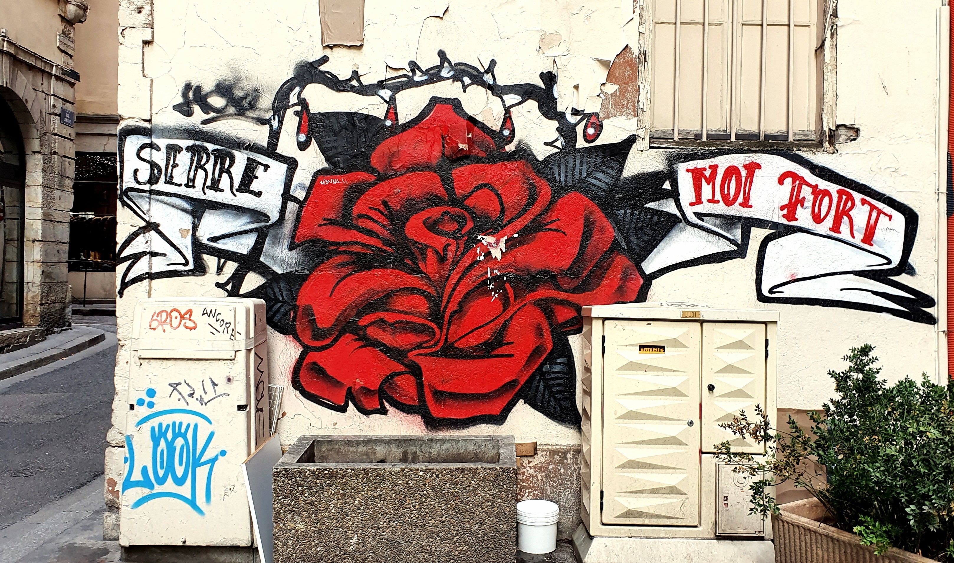 
								Street-art graffiti fresque 
								Georges DE LOUP 
									12 Rue Longue
									
									Lyon
									France 
									Pat Finder
								Street-Art-Safari.com
								