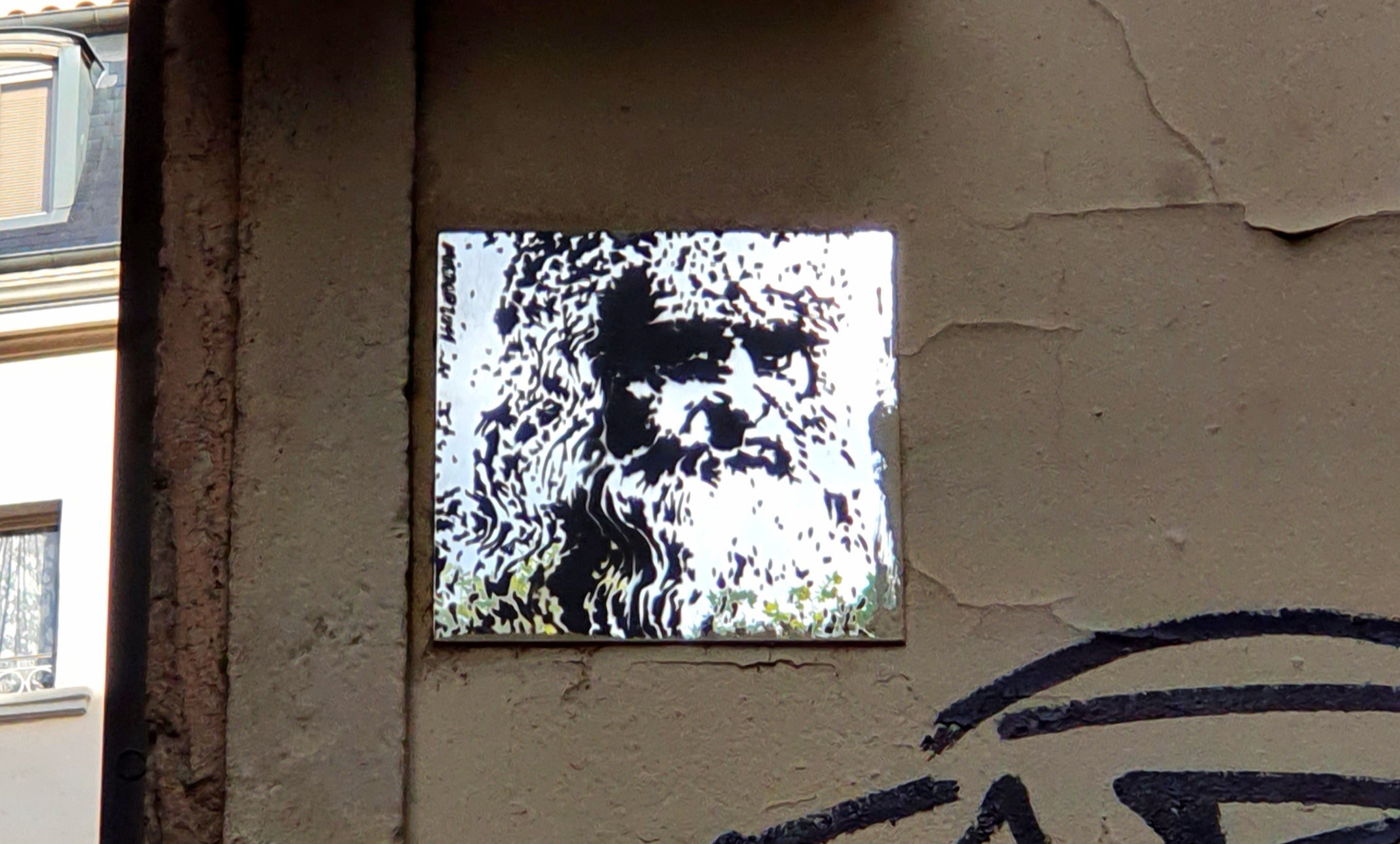 
								Street-art graffiti fresque 
								MIRROR 
									4 Rue Longue
									
									Lyon
									France 
									Pat Finder
								Street-Art-Safari.com
								