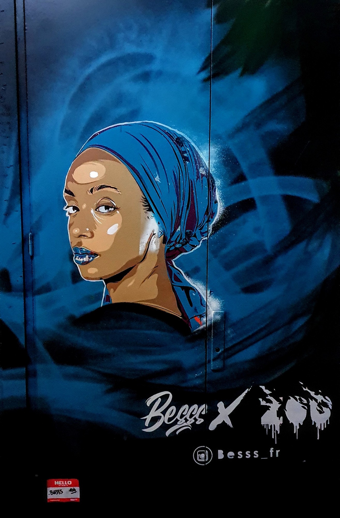 
								Street-art graffiti fresque 
								Besss 
									7 Rue F&eacute;lix Jacquier
									69006
									Lyon
									France 
									Pat Finder
								Street-Art-Safari.com
								