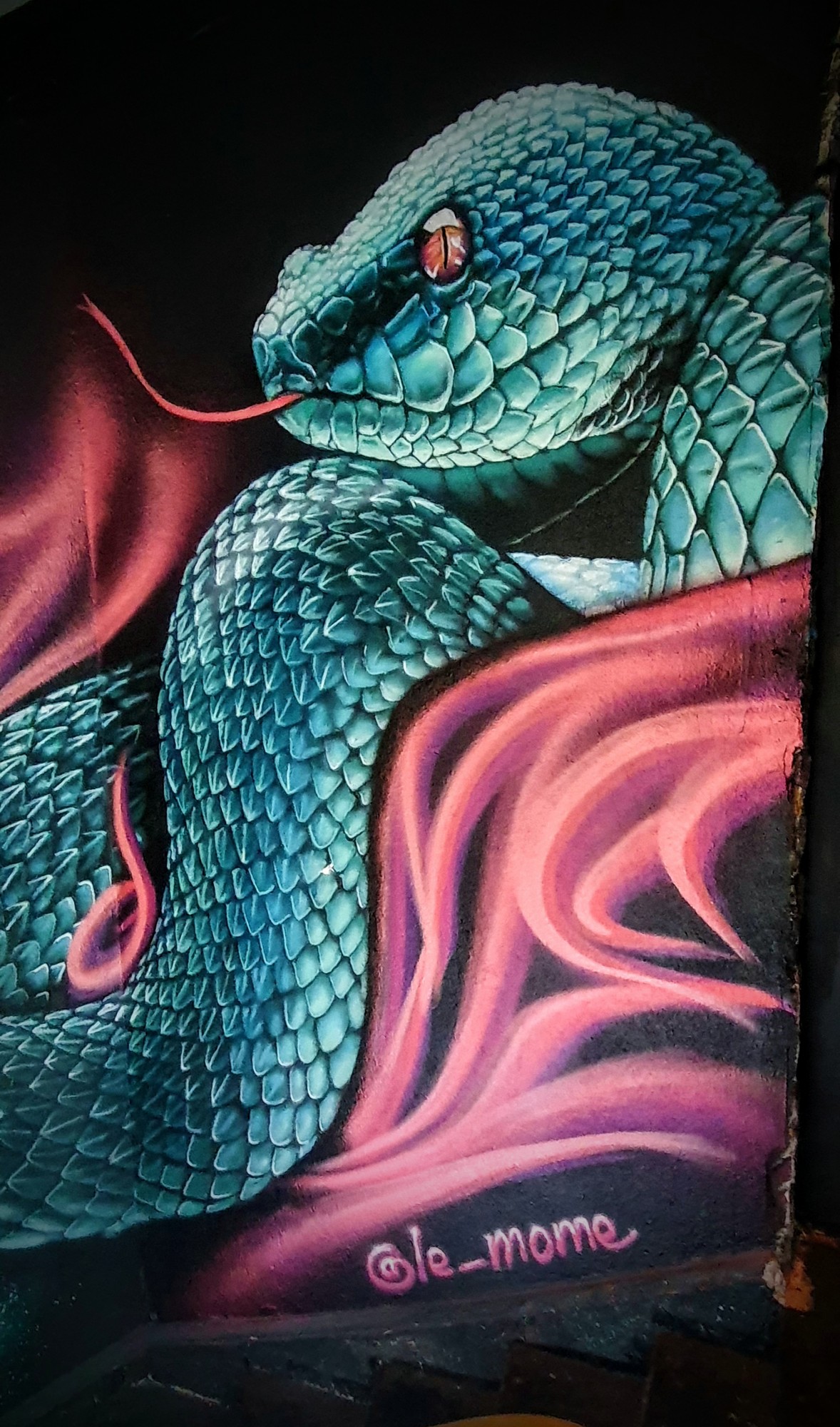 
								Street-art graffiti fresque 
								Le M&ocirc;me 
									4 Rue Boileau
									
									Lyon
									France 
									Pat Finder
								Street-Art-Safari.com
								