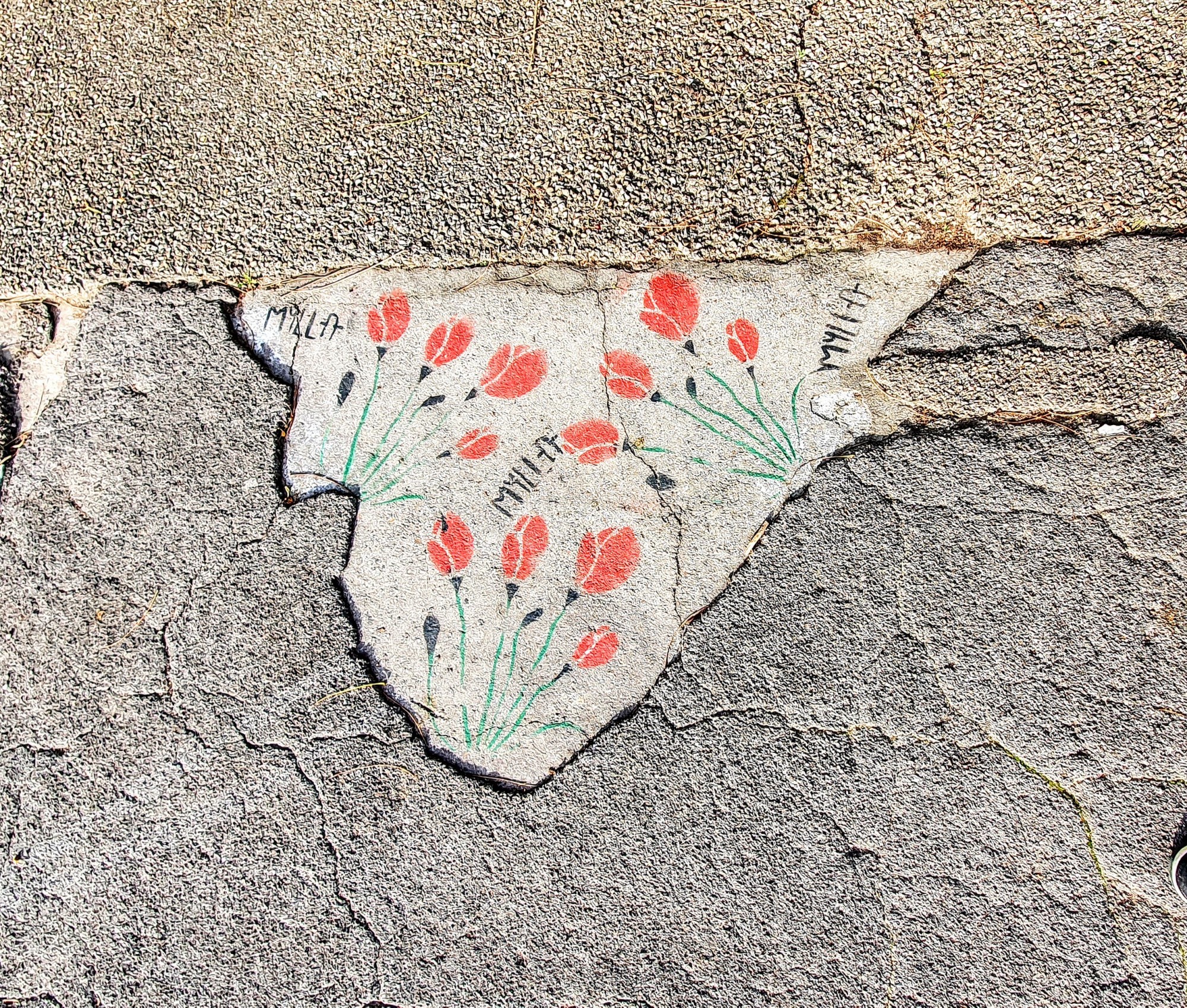 
								Street-art graffiti fresque 
								Mylla 
									3 Place Rouville
									
									Lyon
									France 
									Pat Finder
								Street-Art-Safari.com
								