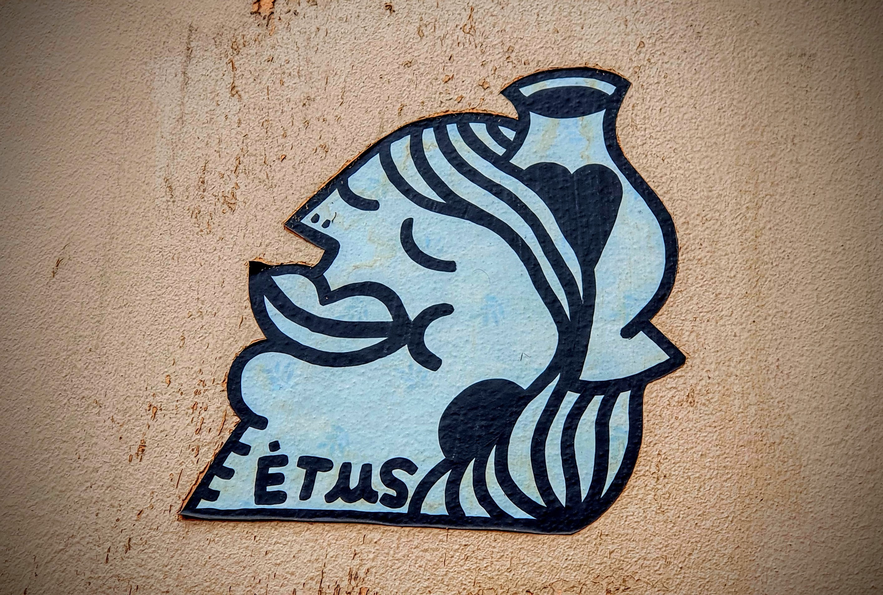 
								Street-art graffiti fresque 
								Etus 
									10 Place Colbert
									
									Lyon
									France 
									Pat Finder
								Street-Art-Safari.com
								