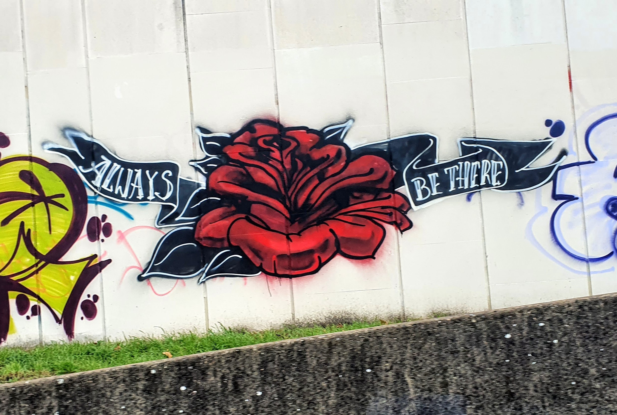 
								Street-art graffiti fresque 
								Georges DE LOUP 
									Quai du Docteur Gailleton
									69002
									Lyon
									France 
									Pat Finder
								Street-Art-Safari.com
								