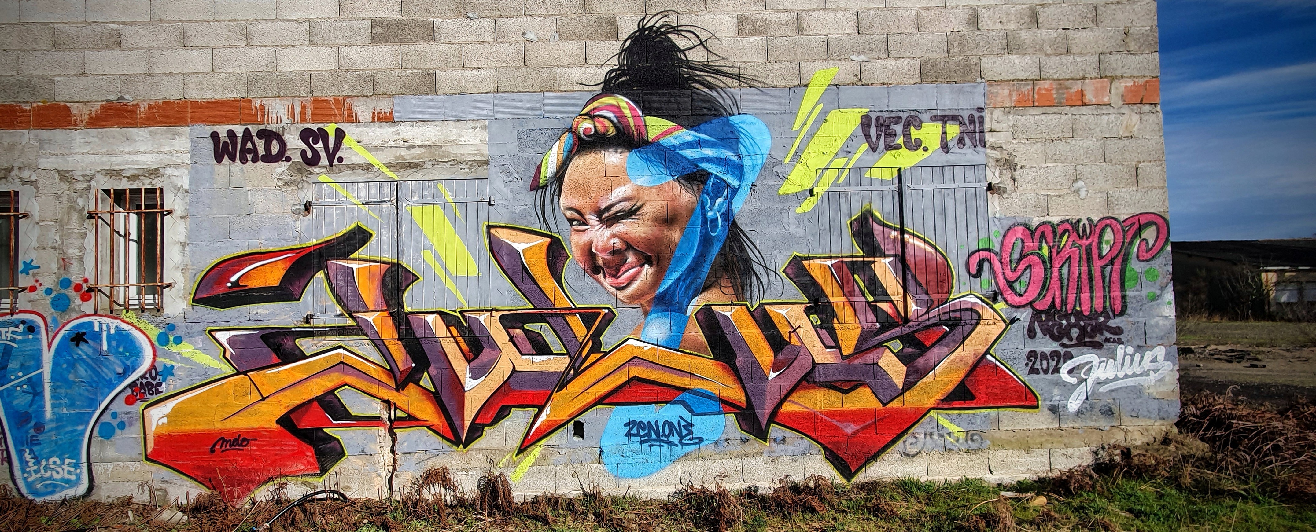 
								Street-art graffiti fresque 
								VEC, Zen.One 
									110 Avenue de Pascouaou
									
									Soorts-Hossegor
									France 
									Pat Finder
								Street-Art-Safari.com
								