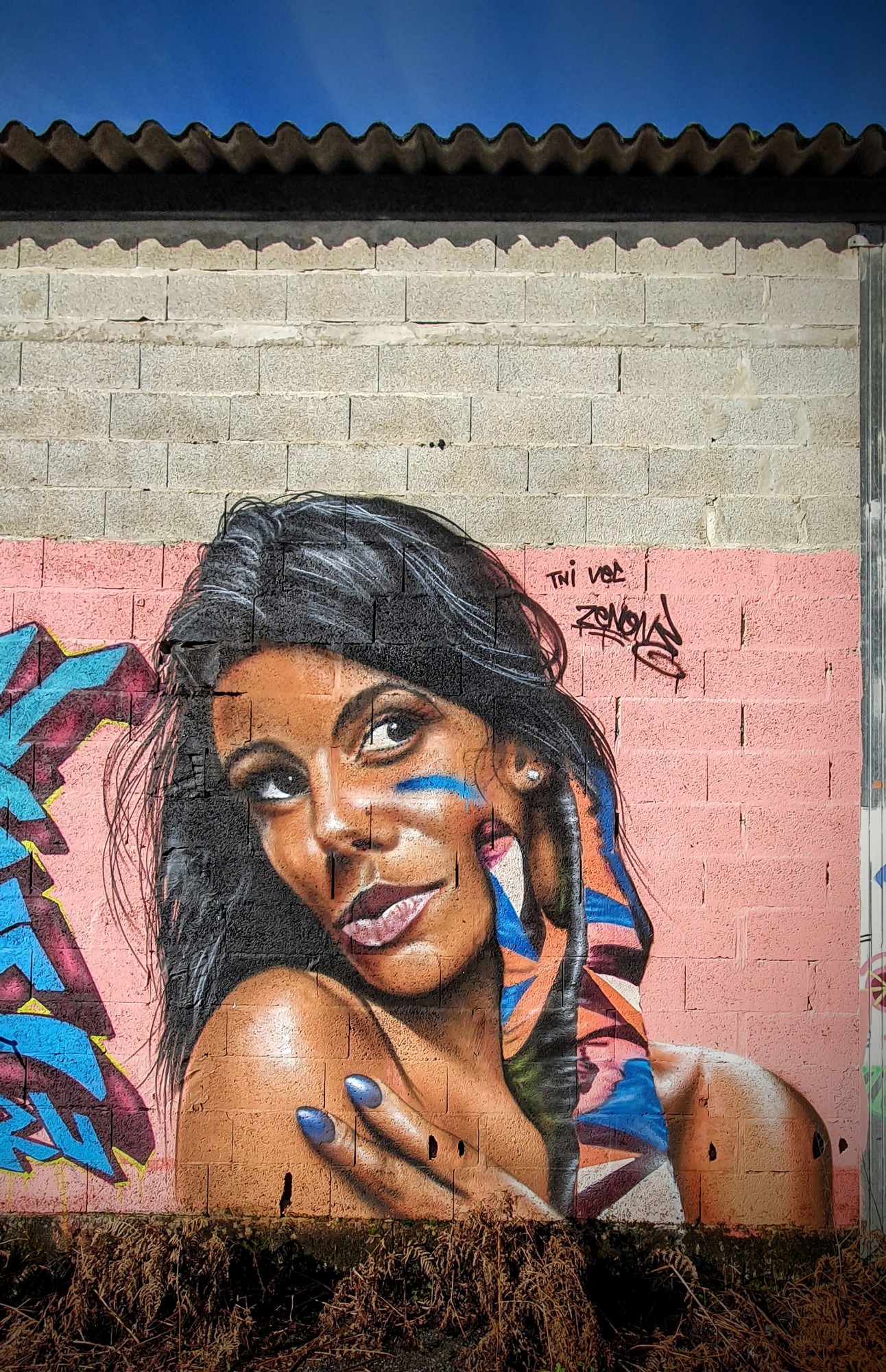 
								Street-art graffiti fresque 
								VEC 
									110 Avenue de Pascouaou
									
									Soorts-Hossegor
									France 
									Pat Finder
								Street-Art-Safari.com
								