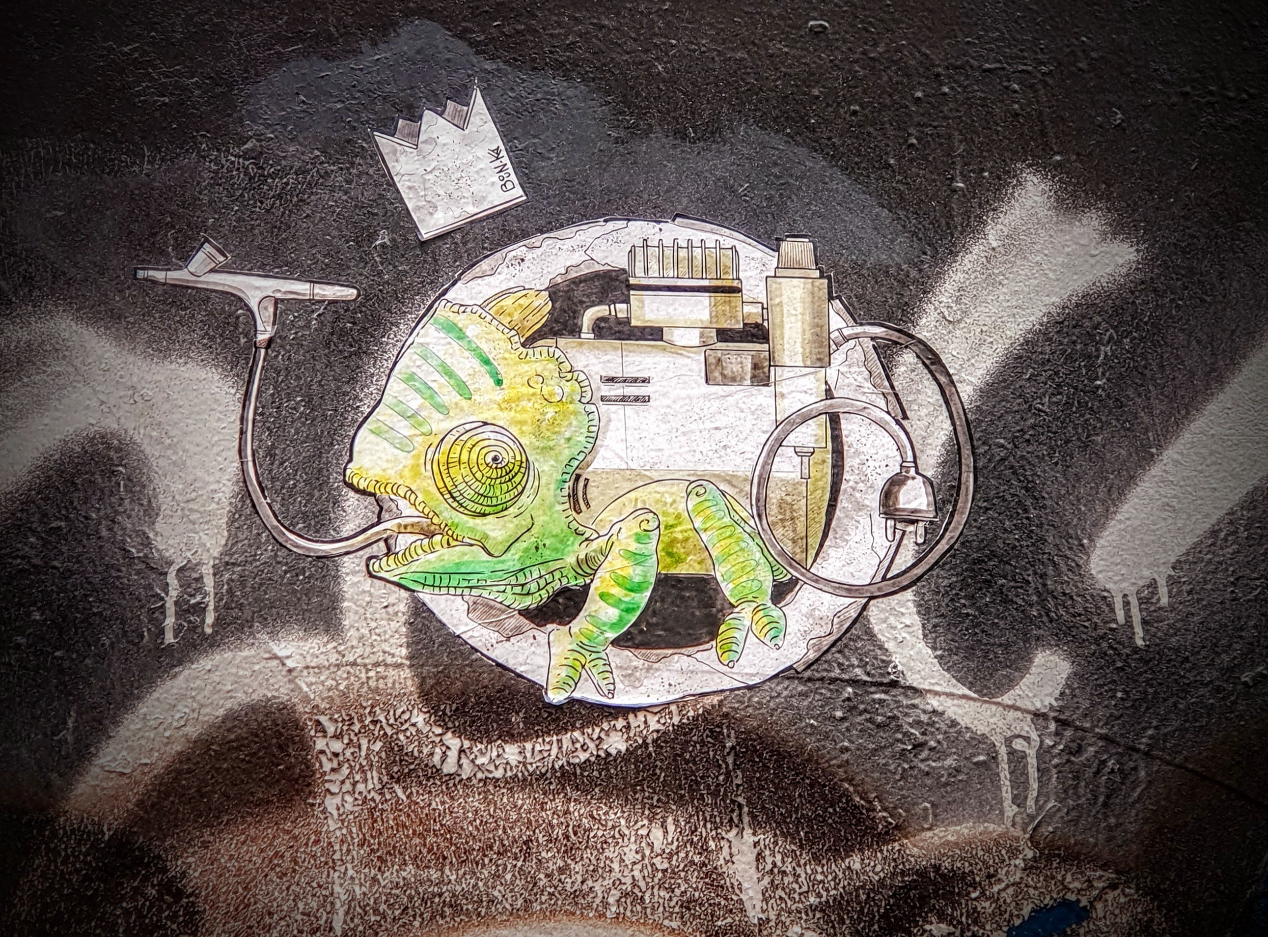 
								Street-art graffiti fresque 
								Bounka 
									4 Place des Capucins
									
									Lyon
									France 
									Pat Finder
								Street-Art-Safari.com
								