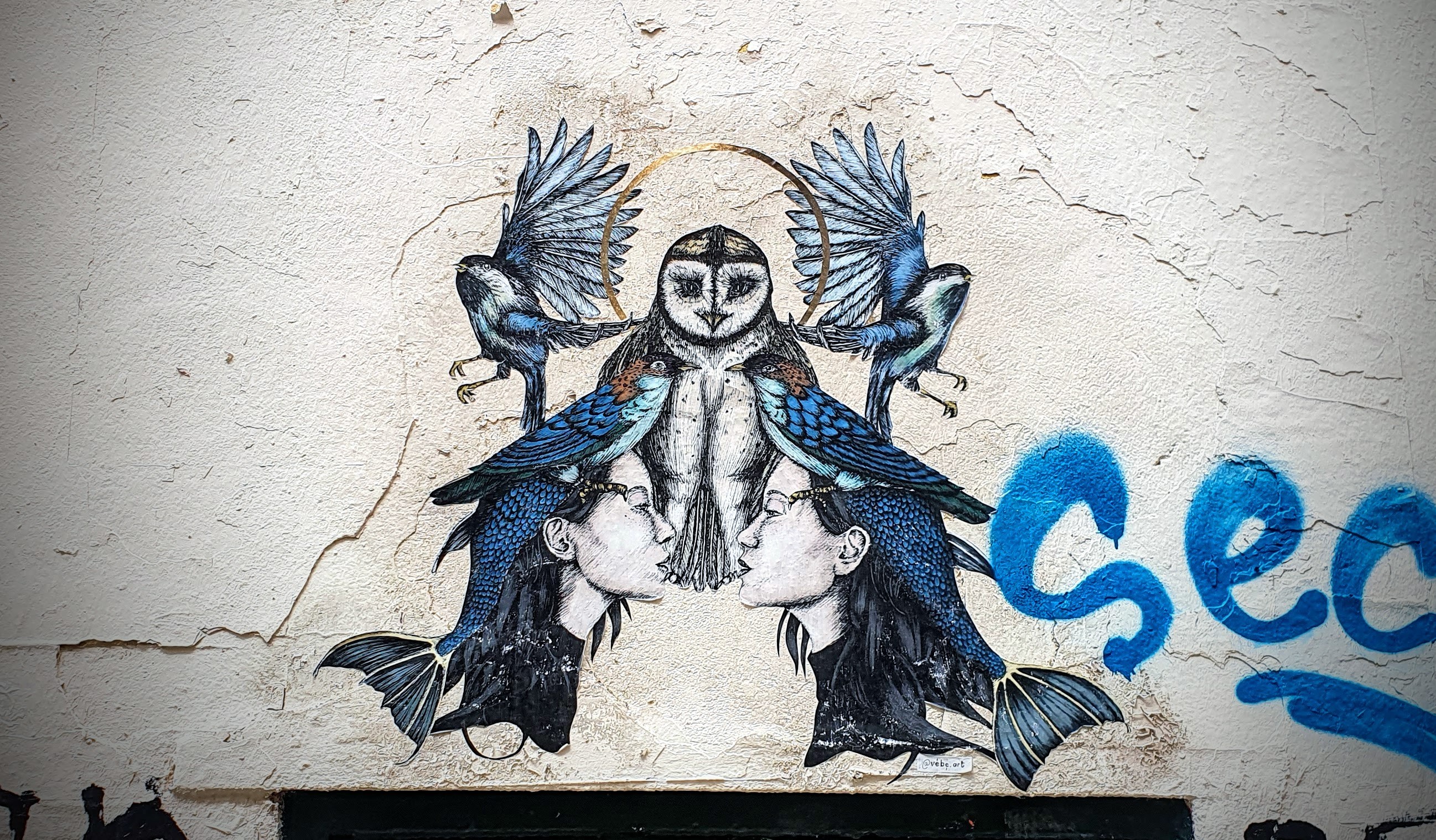 
								Street-art graffiti fresque 
								V&eacute;be 
									36 Rue Burdeau
									
									Lyon
									France 
									Pat Finder
								Street-Art-Safari.com
								