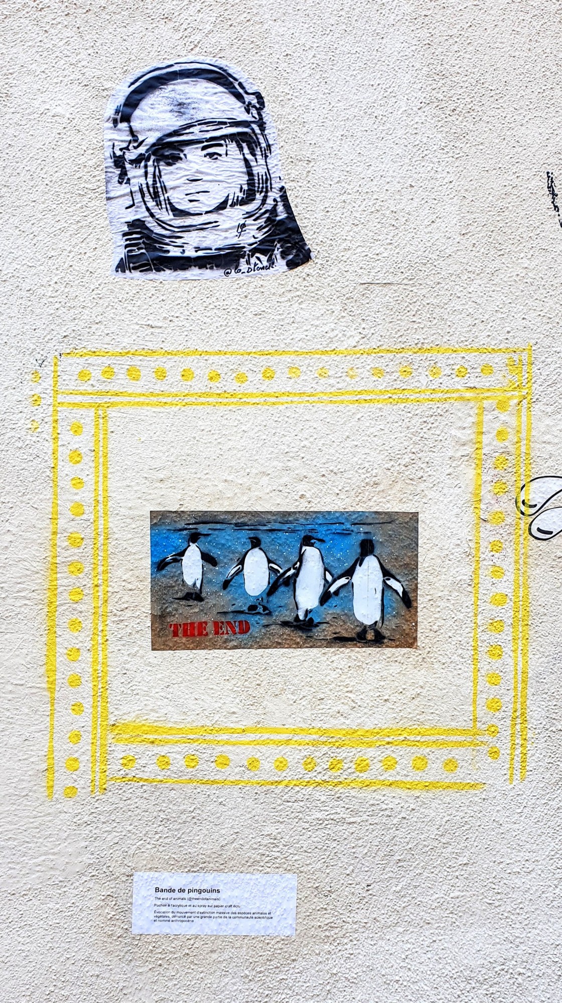 
								Street-art graffiti fresque 
								Celebrate, The End Of  Animals 
									22 Rue des Pierres Plant&eacute;es
									
									Lyon
									France 
									Pat Finder
								Street-Art-Safari.com
								