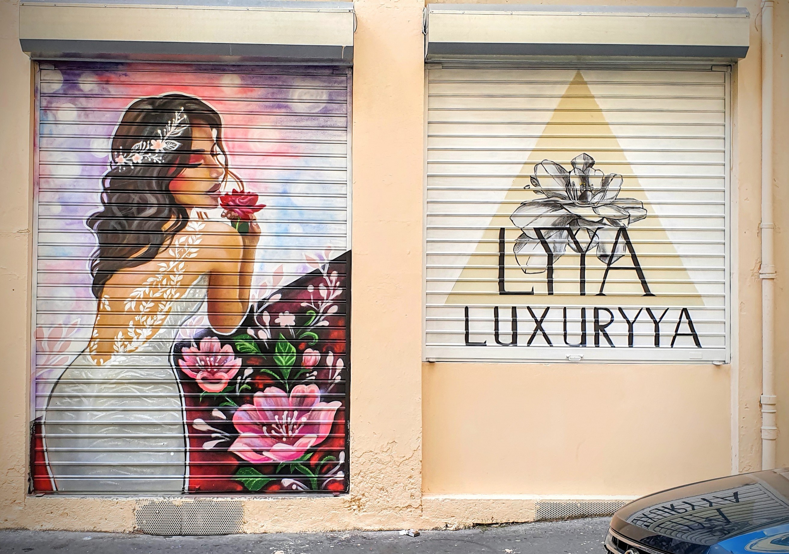 
								Street-art graffiti fresque 
								 
									18 Rue de Bonald
									69007
									Lyon
									France 
									Pat Finder
								Street-Art-Safari.com
								