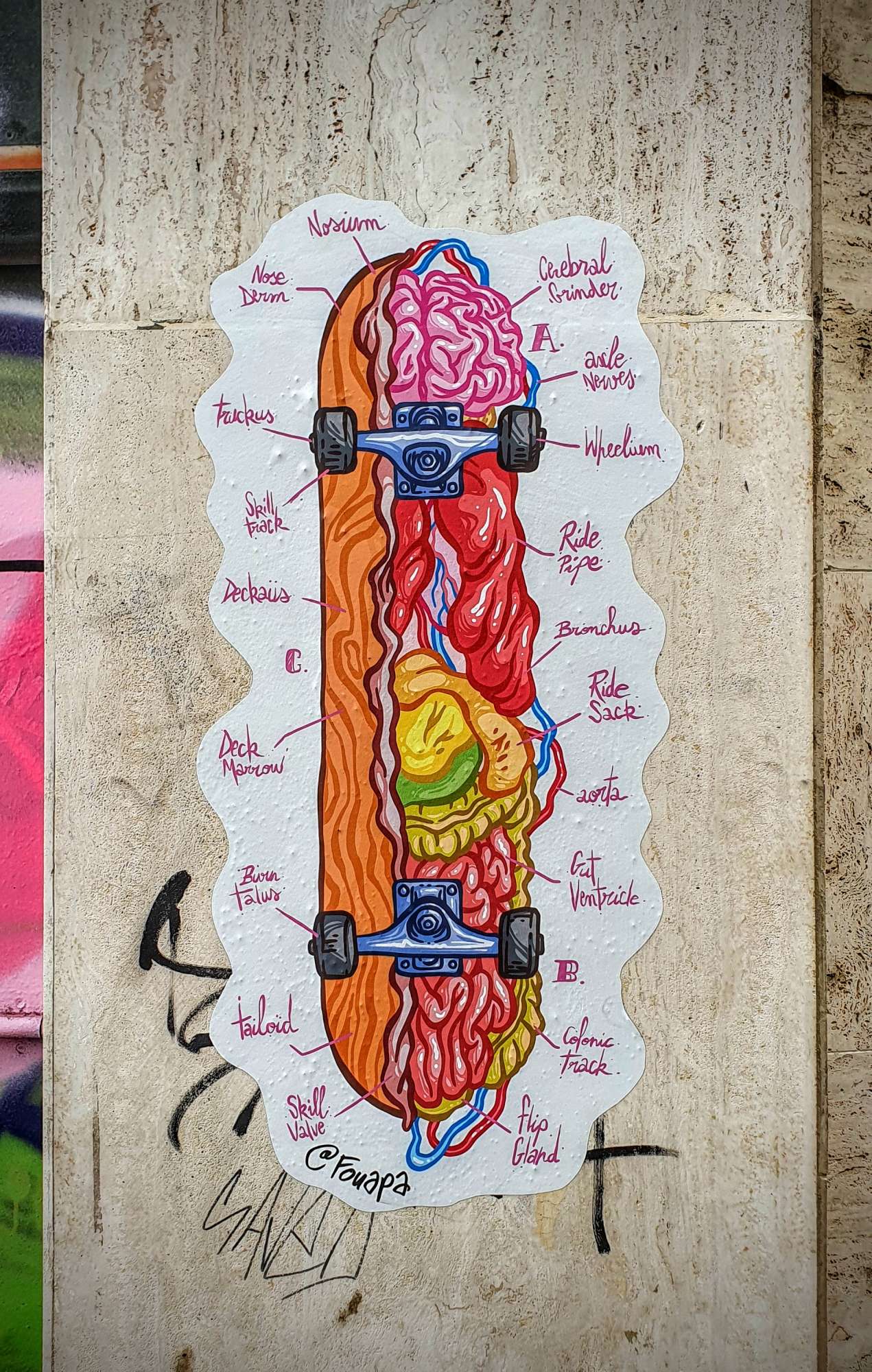 
								Street-art graffiti fresque 
								Fouapa 
									4 Rue Marcel Gabriel Rivi&egrave;re
									69002
									Lyon
									France 
									Pat Finder
								Street-Art-Safari.com
								