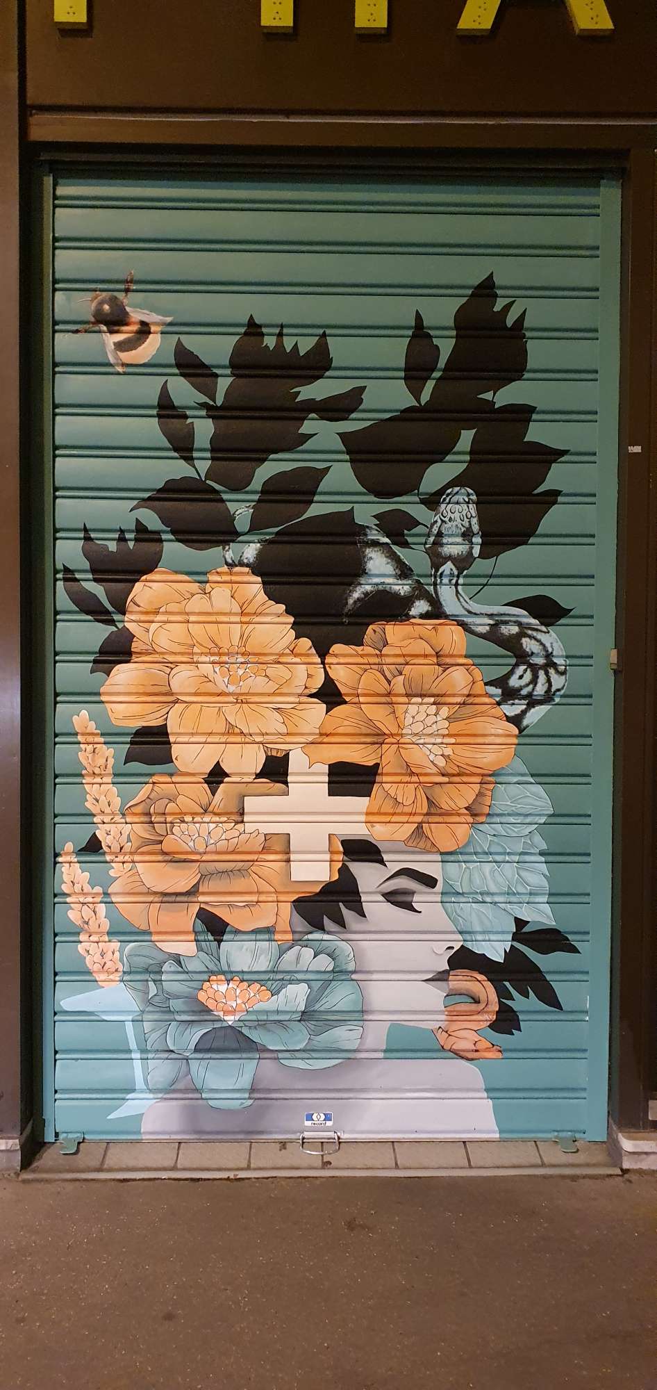 
								Street-art graffiti fresque 
								 
									21 Rue de la Thibaudi&egrave;re
									69007
									Lyon
									France 
									Pat Finder
								Street-Art-Safari.com
								