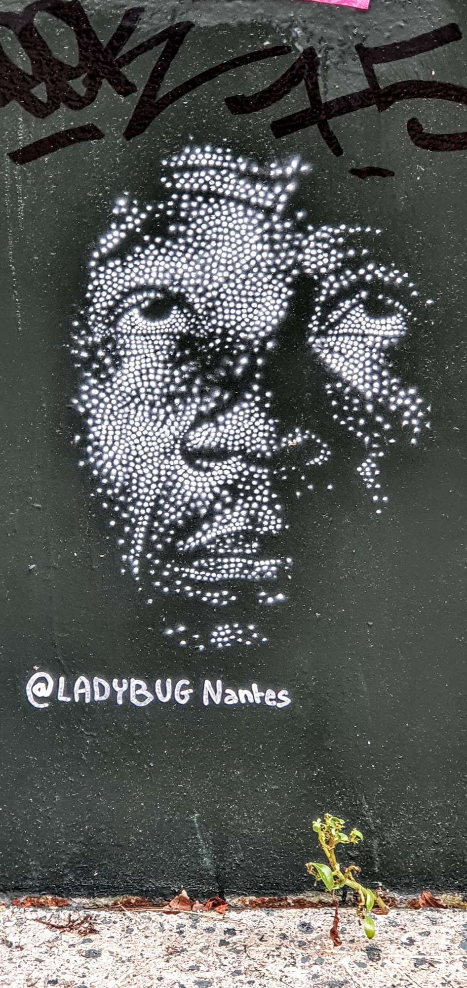 
								Street-art graffiti fresque 
								LadyBug 
									33 Rue Burdeau
									69001
									Lyon
									France 
									Pat Finder
								Street-Art-Safari.com
								