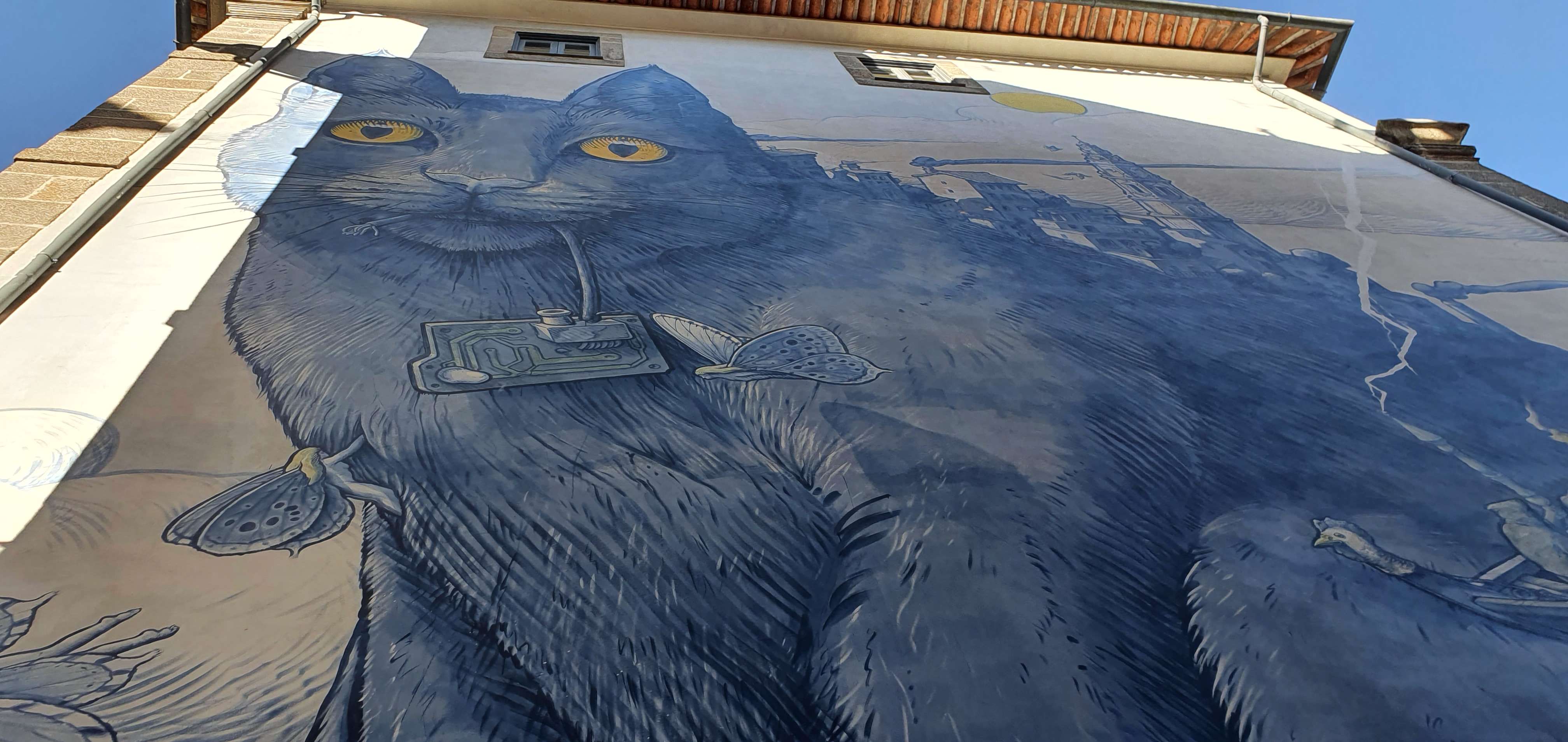 
								Street-art graffiti fresque 
								Liqen 
									222 Rua das Flores
									4000
									Porto
									Portugal 
									Pat Finder
								Street-Art-Safari.com
								