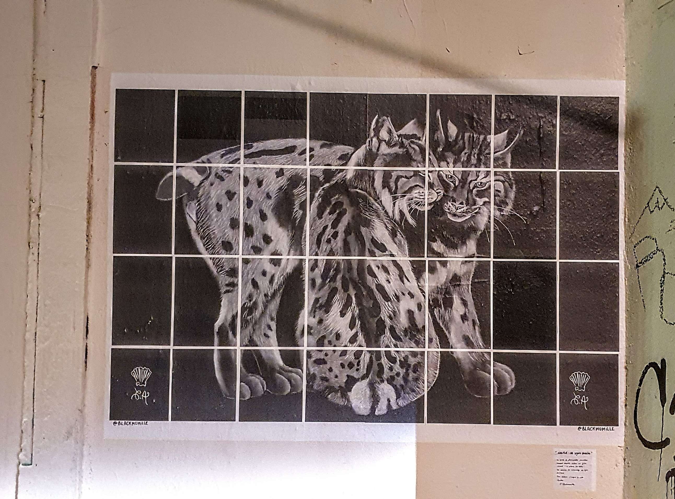 
								Street-art graffiti fresque 
								Blackmomille 
									16 Rue Neyret
									69001
									Lyon
									France 
									Pat Finder
								Street-Art-Safari.com
								