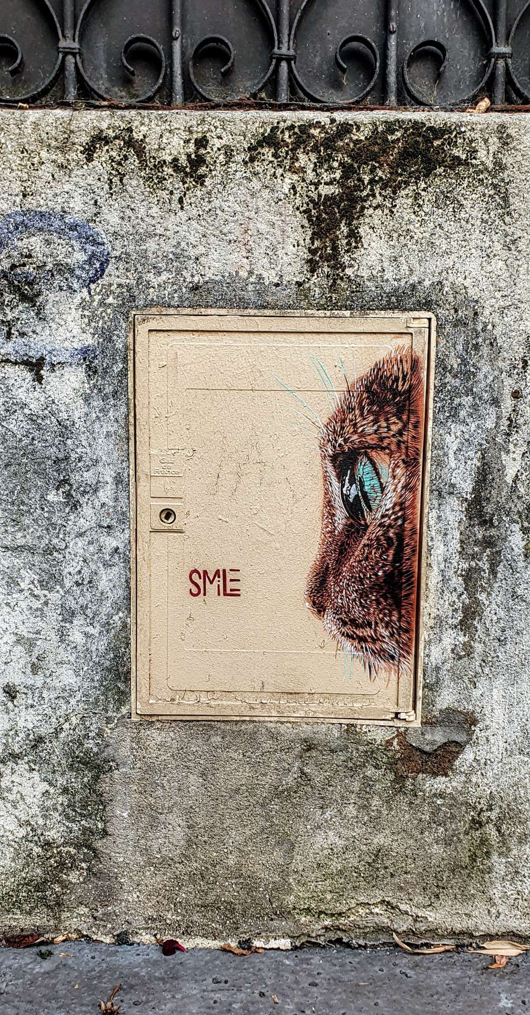 
								Street-art graffiti fresque 
								Smile 
									23 Rue Buot
									75013
									Paris
									France 
									Pat Finder
								Street-Art-Safari.com
								