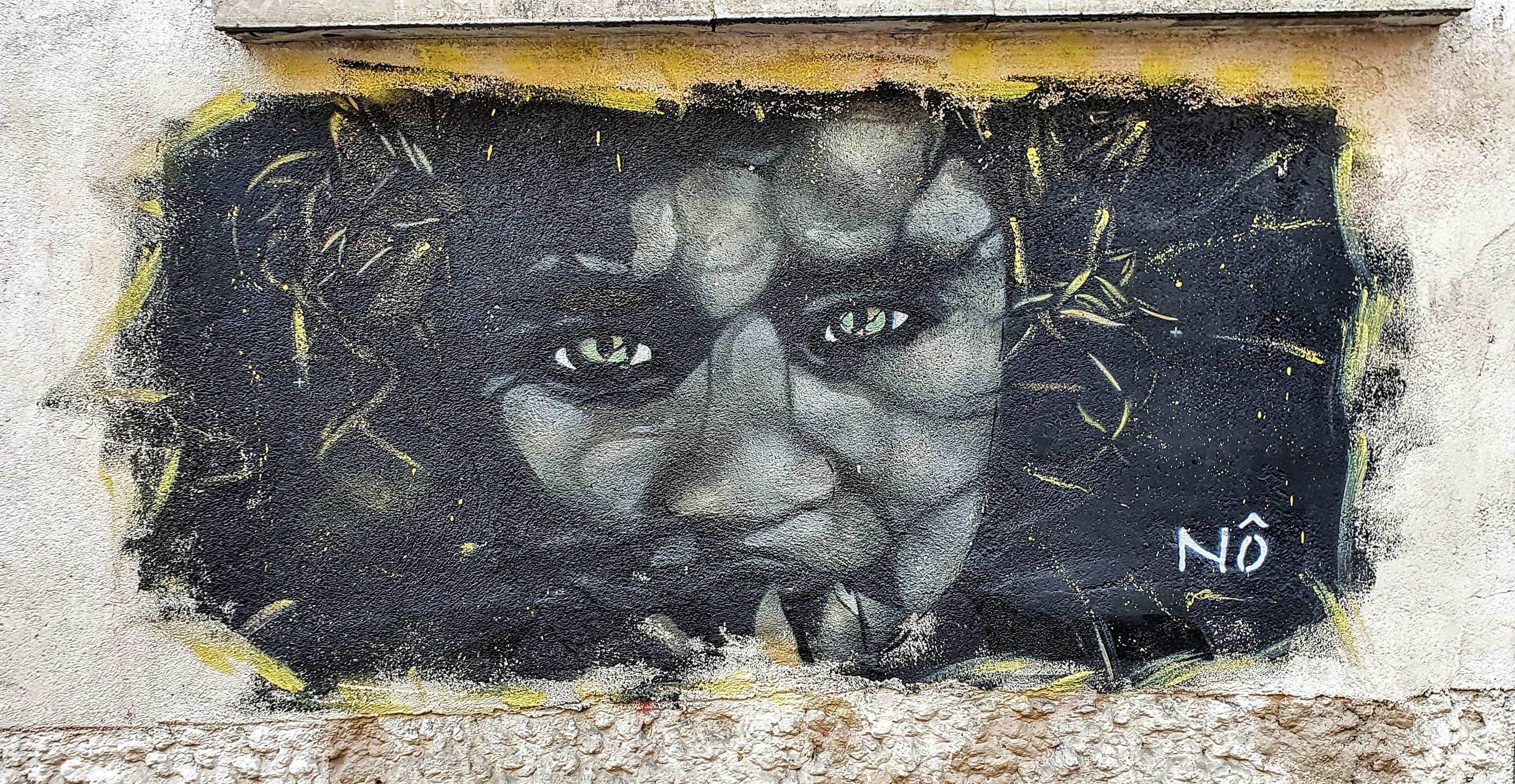 
								Street-art graffiti fresque 
								N&ocirc; 
									13 Rue Buot
									75013
									Paris
									France 
									Pat Finder
								Street-Art-Safari.com
								