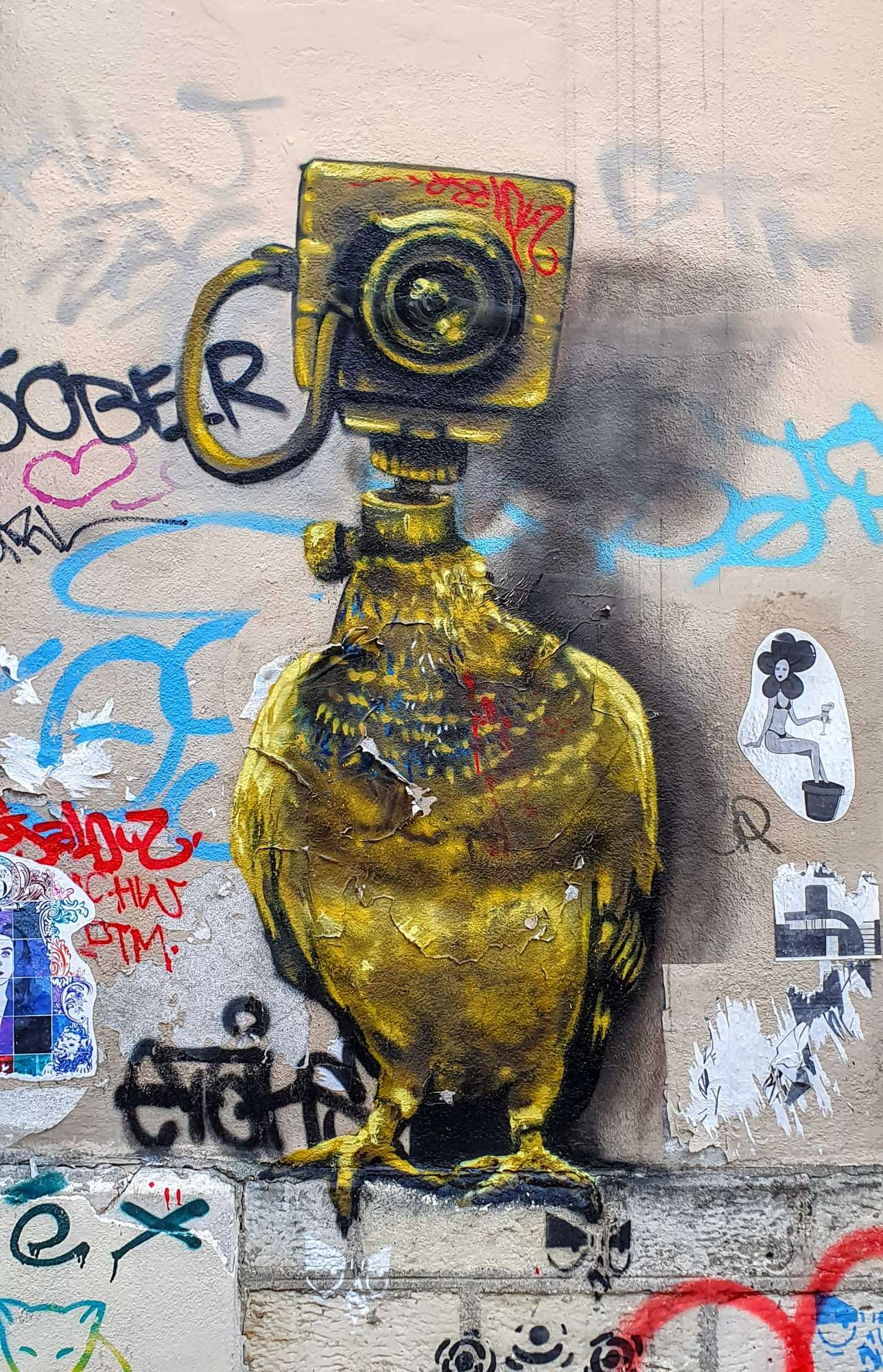 
								Street-art graffiti fresque 
								Pigecam 
									7 Passage Sigaud
									75013
									Paris
									France 
									Pat Finder
								Street-Art-Safari.com
								