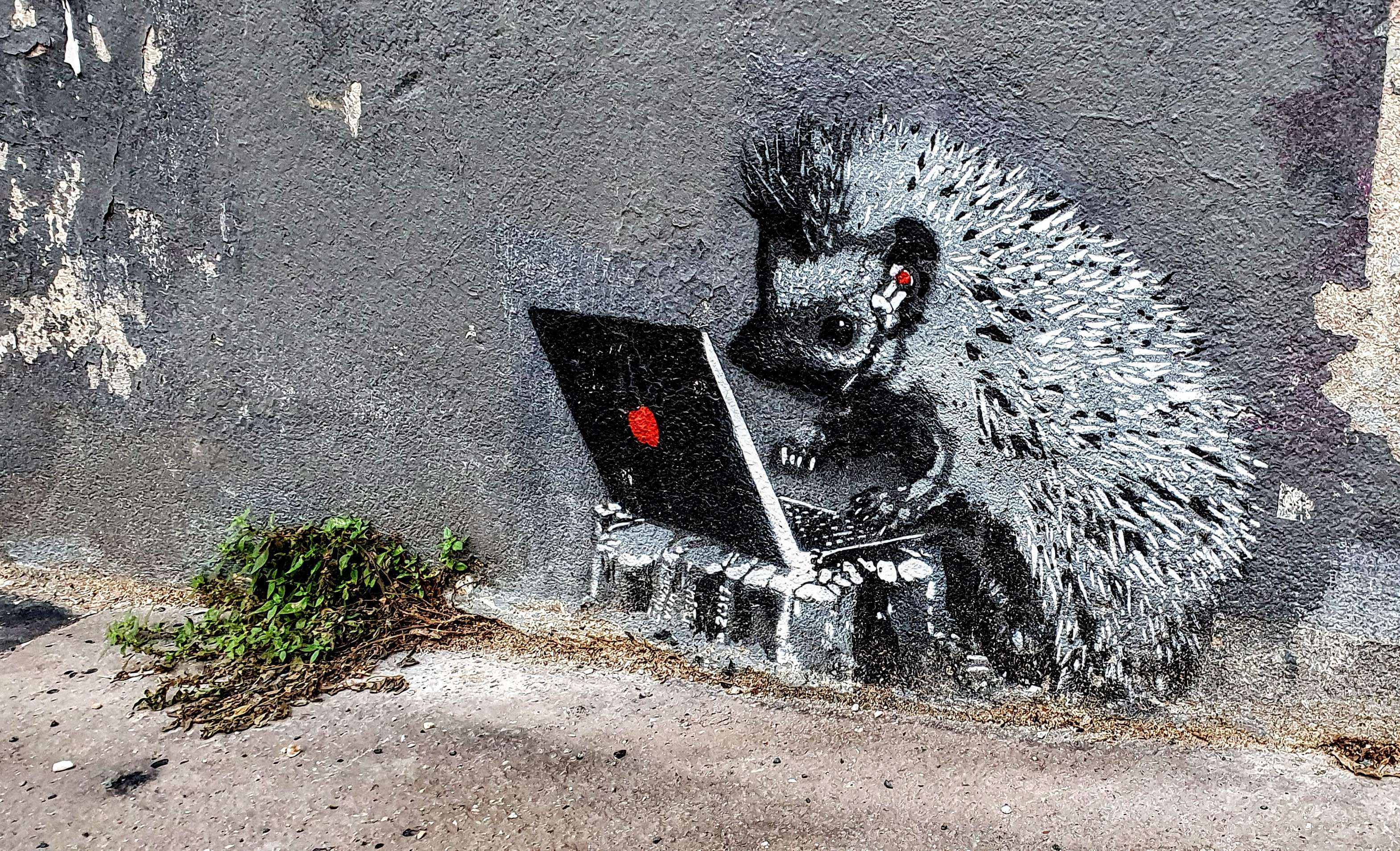 
								Street-art graffiti fresque 
								 
									13a Rue Barrault
									75013
									Paris
									France 
									Pat Finder
								Street-Art-Safari.com
								