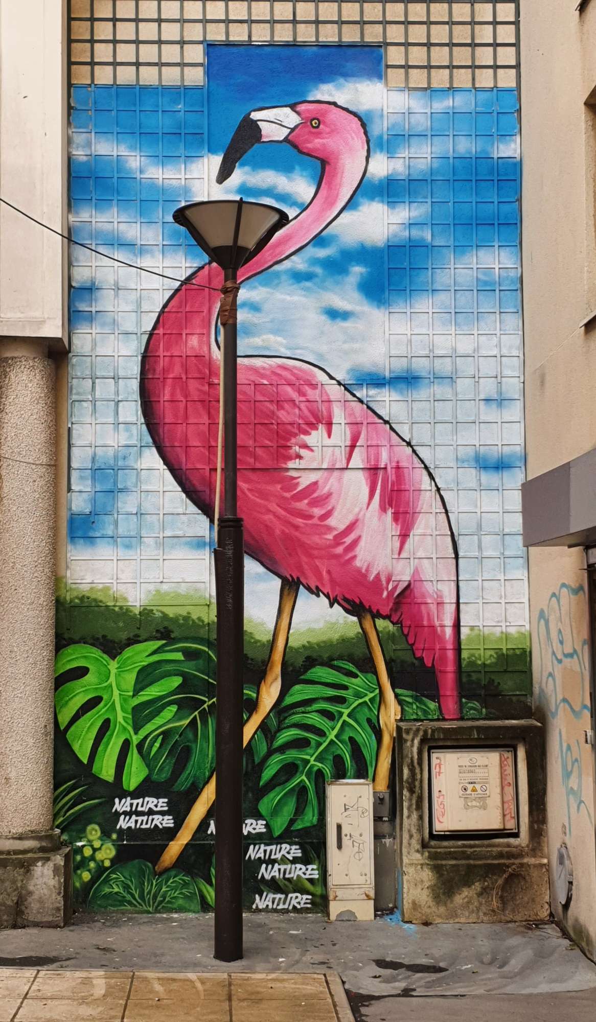 
								Street-art graffiti fresque 
								 
									17 Rue Robert-Houdin
									75011
									Paris
									France 
									Pat Finder
								Street-Art-Safari.com
								