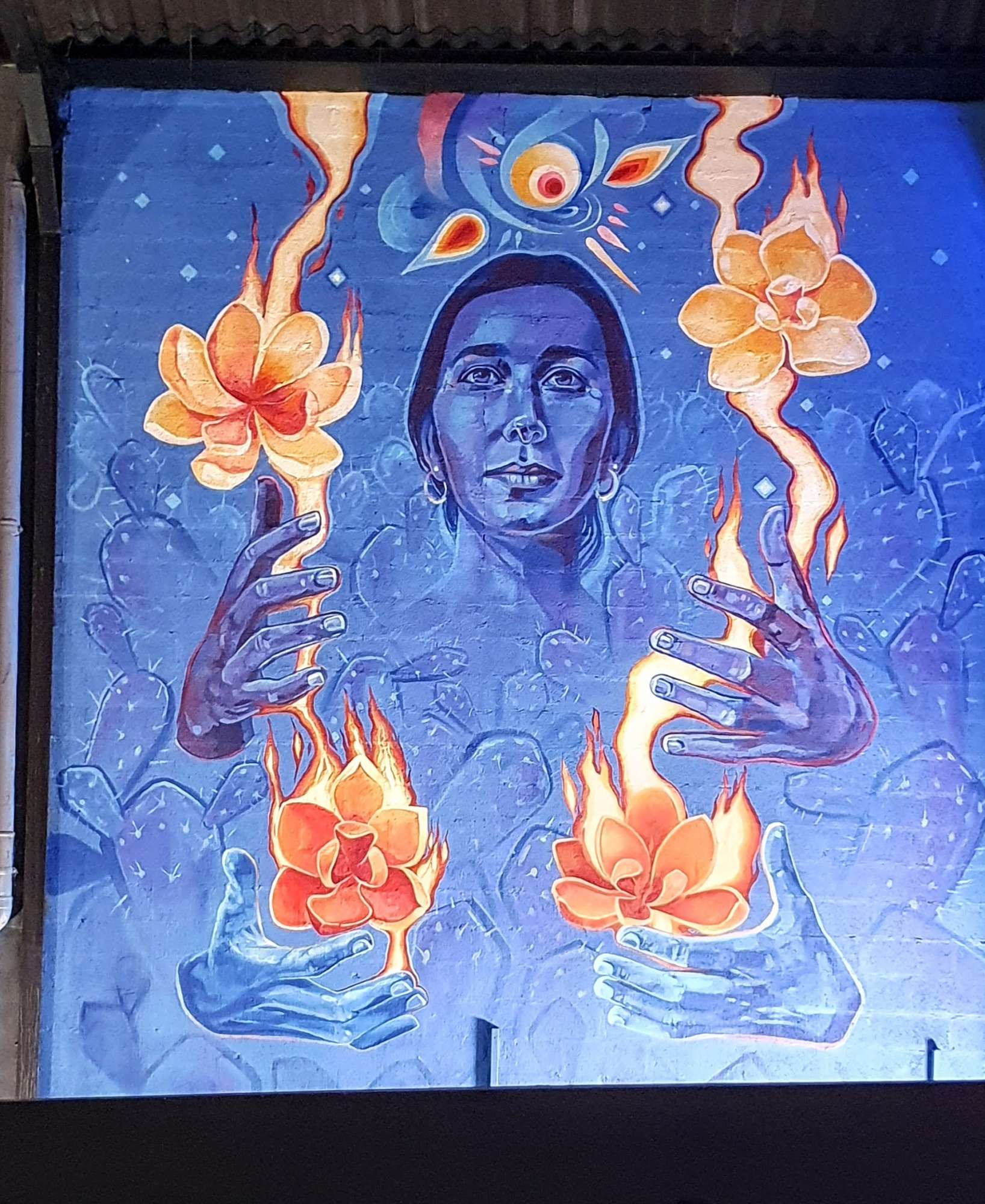 
								Street-art graffiti fresque 
								Arturo Vol&aacute;til 
									37 Avenue Debourg
									69007
									Lyon
									France 
									Pat Finder
								Street-Art-Safari.com
								