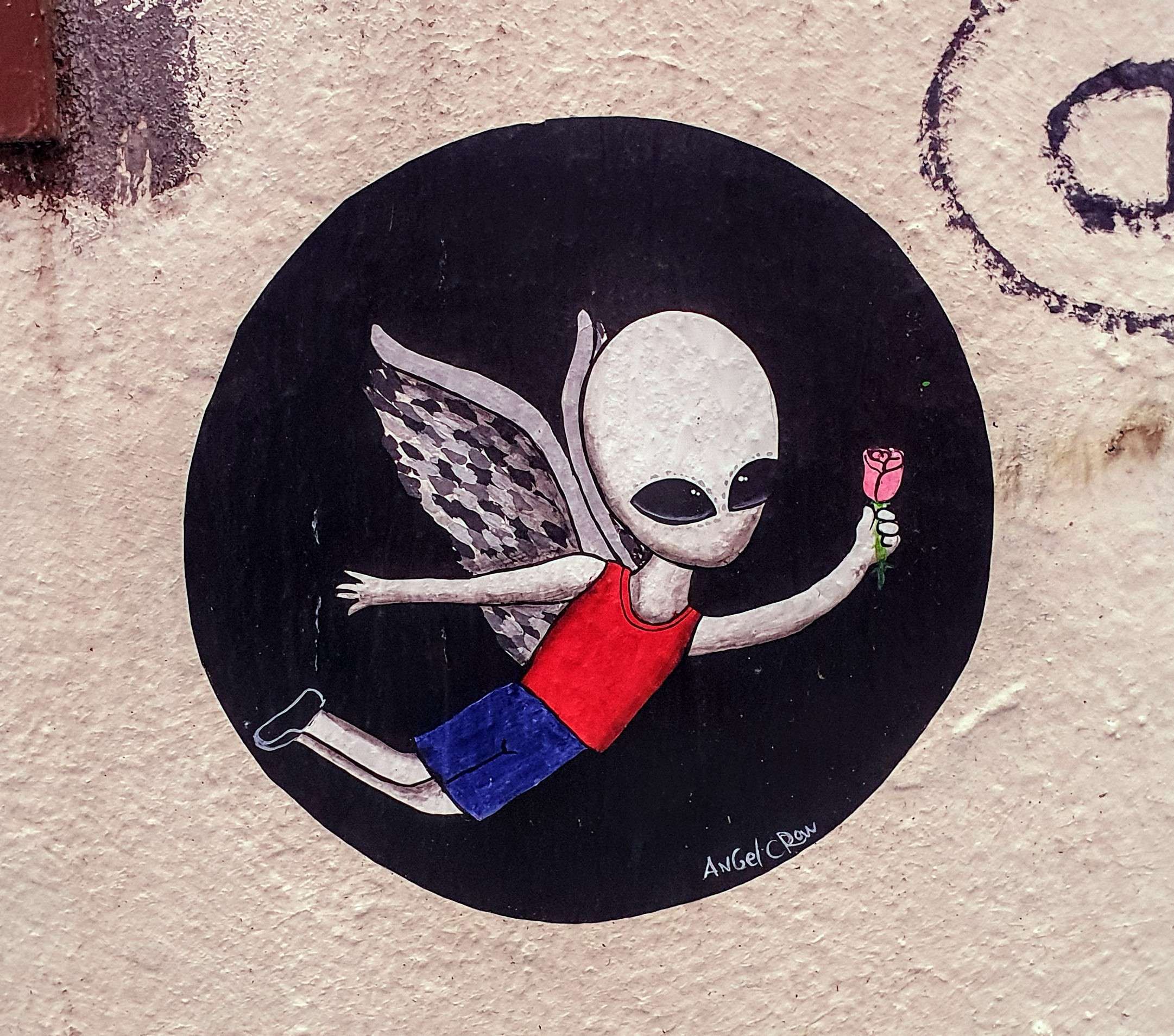 
								Street-art graffiti fresque 
								Angel Crow 
									1 Place Chardonnet
									69001
									Lyon
									France 
									Pat Finder
								Street-Art-Safari.com
								