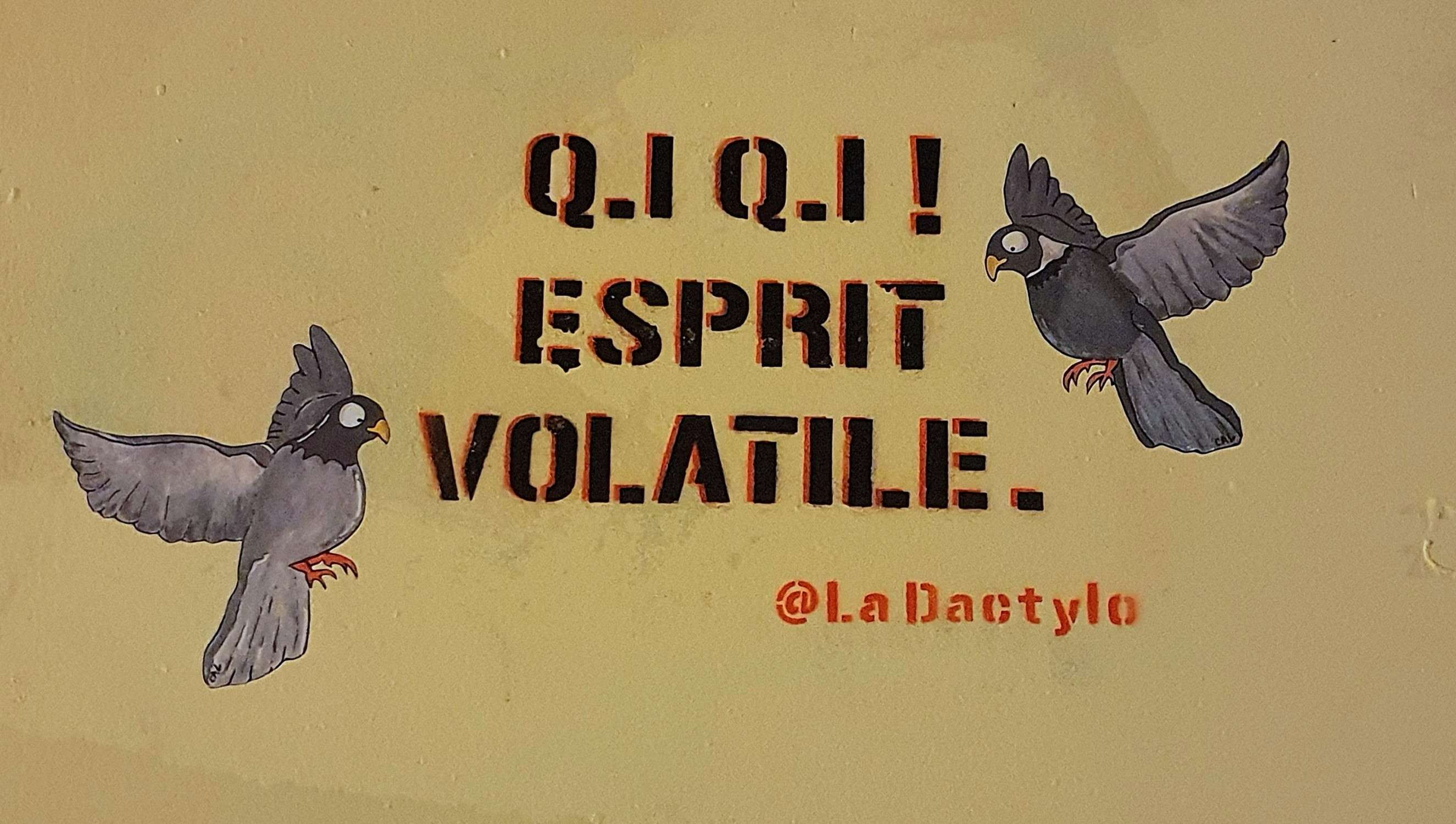 
								Street-art graffiti fresque 
								La Dactylo 
									19 Rue Ren&eacute; Leynaud
									69001
									Lyon
									France 
									Pat Finder
								Street-Art-Safari.com
								