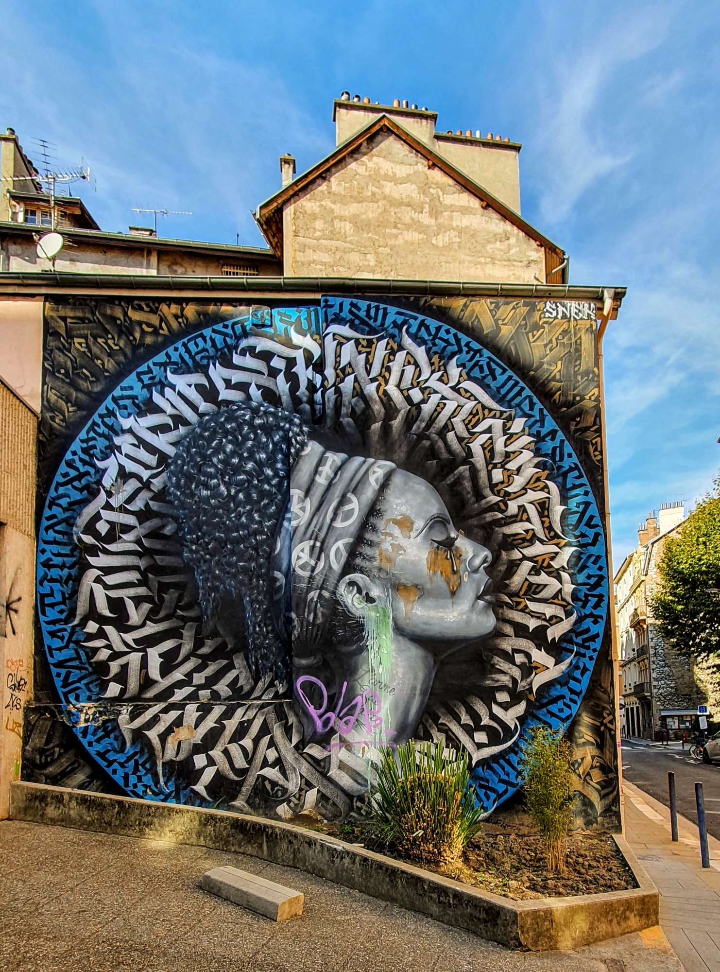 
								Street-art graffiti fresque 
								 
									10 Rue Doudart de Lagree
									38000
									Grenoble
									France 
									Pat Finder
								Street-Art-Safari.com
								