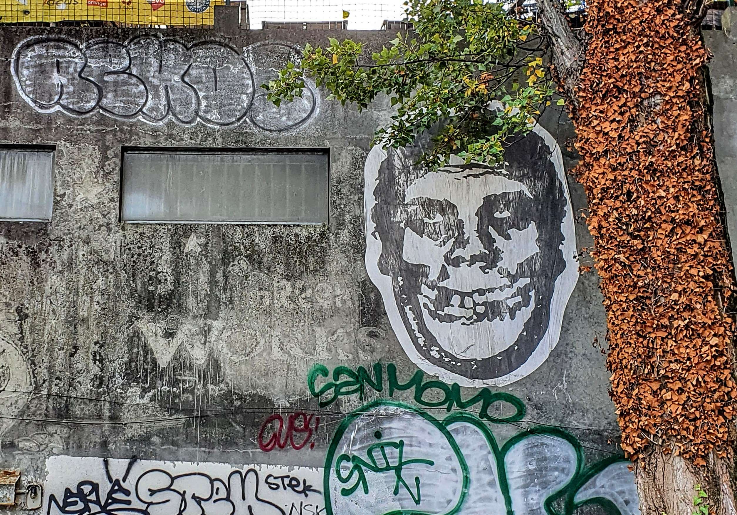 
								Street-art graffiti fresque 
								Shepard Fairey 
									14B Boulevard Mar&eacute;chal Lyautey
									38000
									Grenoble
									France 
									Pat Finder
								Street-Art-Safari.com
								