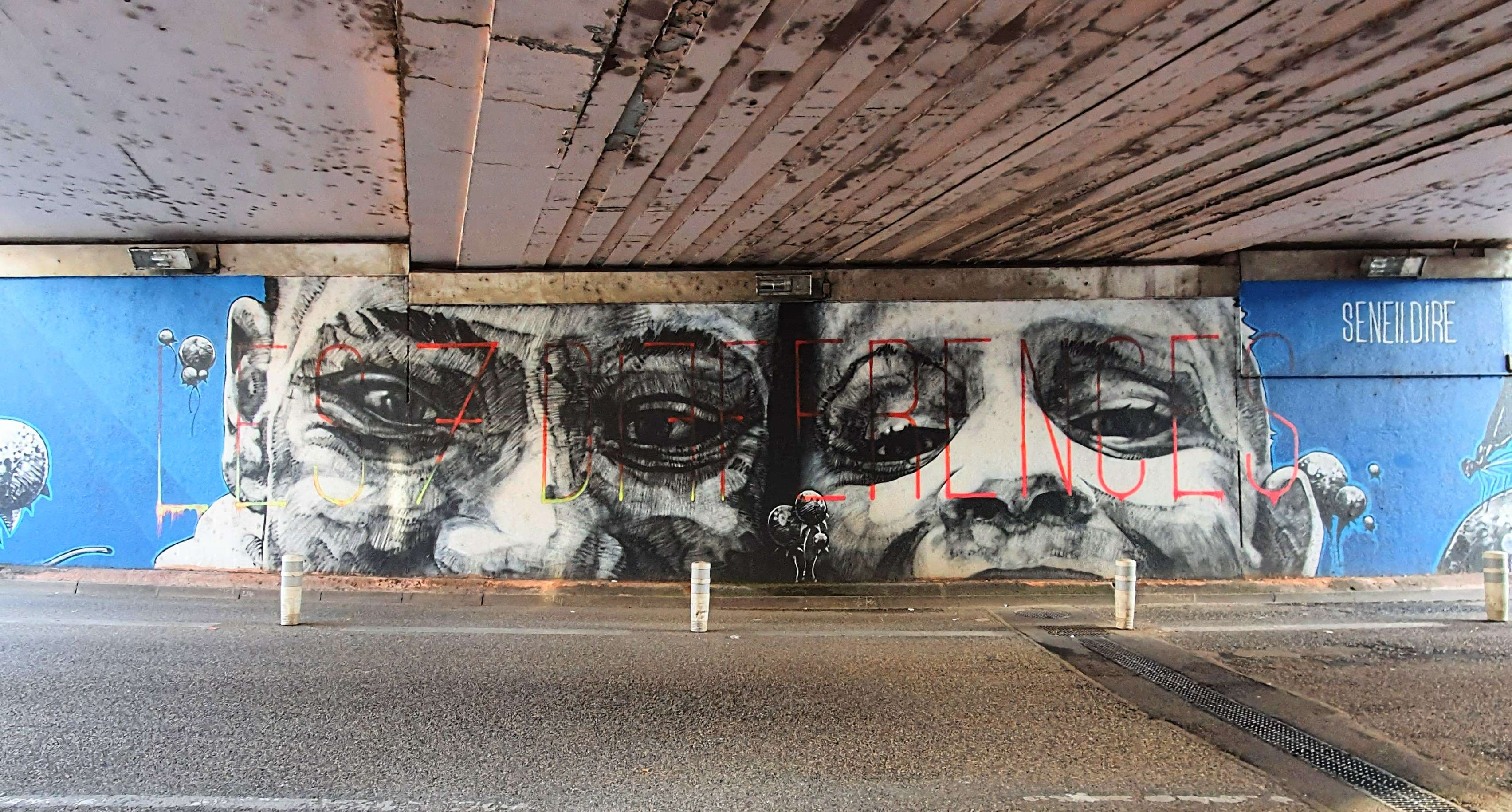 
								Street-art graffiti fresque 
								Dire 132, SENE2 
									47 Avenue de Vizille
									38000
									Grenoble
									France 
									Pat Finder
								Street-Art-Safari.com
								