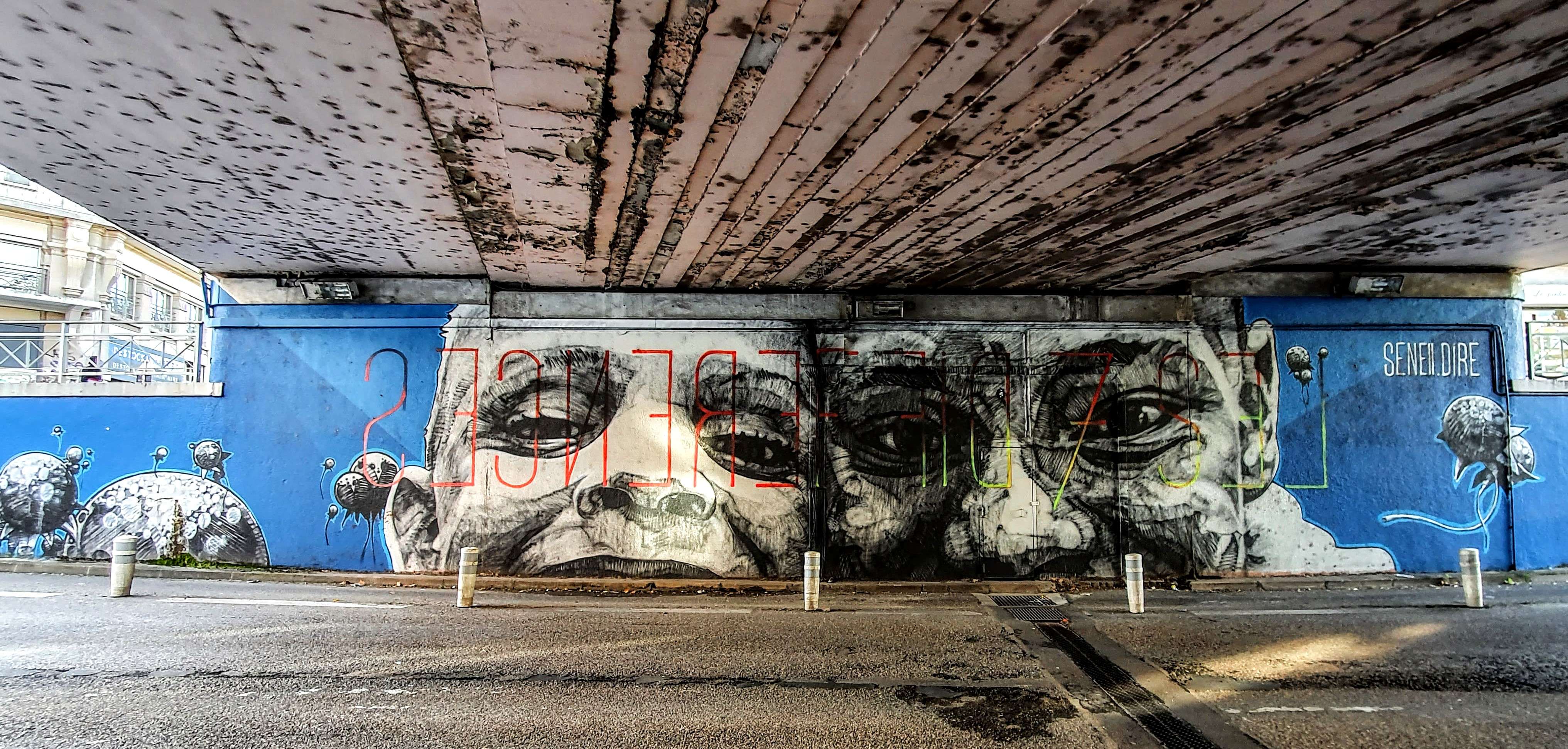 
								Street-art graffiti fresque 
								Dire 132 
									43 Avenue de Vizille
									38000
									Grenoble
									France 
									Pat Finder
								Street-Art-Safari.com
								