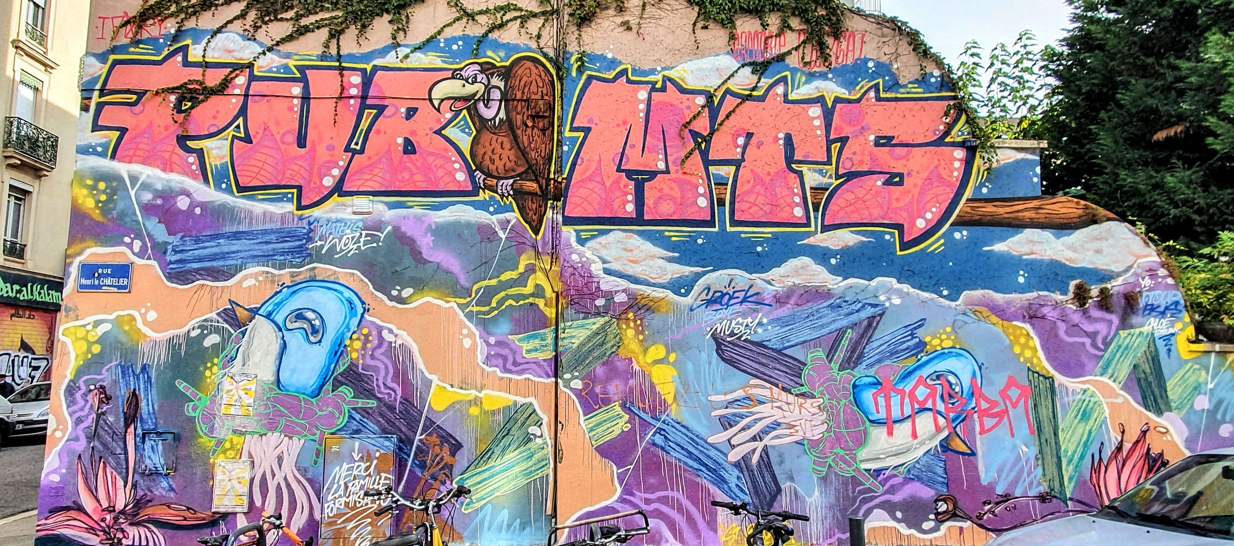 
								Street-art graffiti fresque 
								 
									1 Rue Henri le Ch&acirc;telier
									38000
									Grenoble
									France 
									Pat Finder
								Street-Art-Safari.com
								