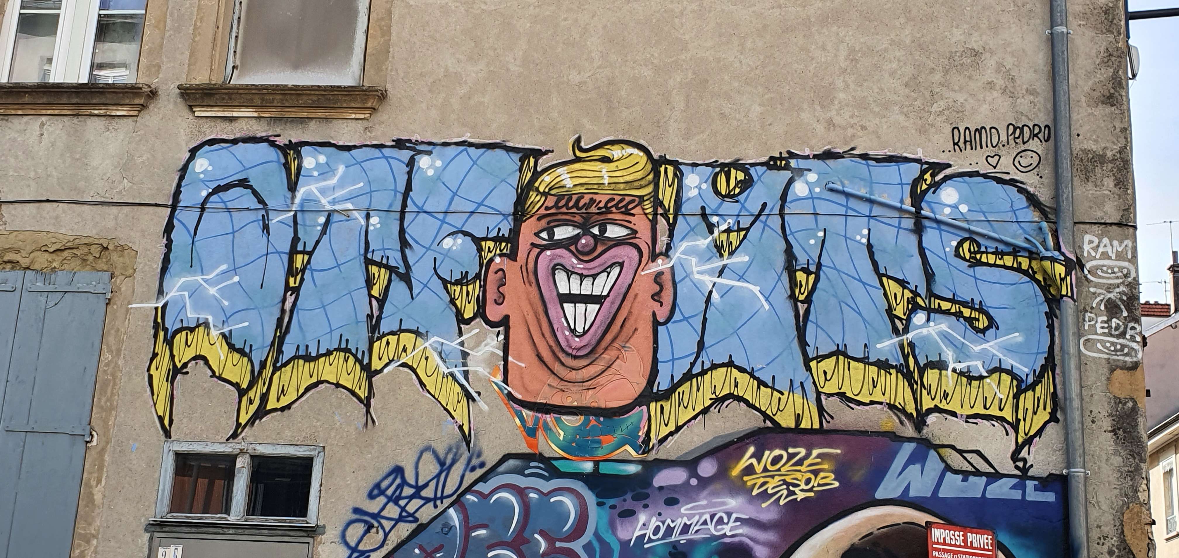 
								Street-art graffiti fresque 
								 
									23 Rue d'Alembert
									38000
									Grenoble
									France 
									Pat Finder
								Street-Art-Safari.com
								