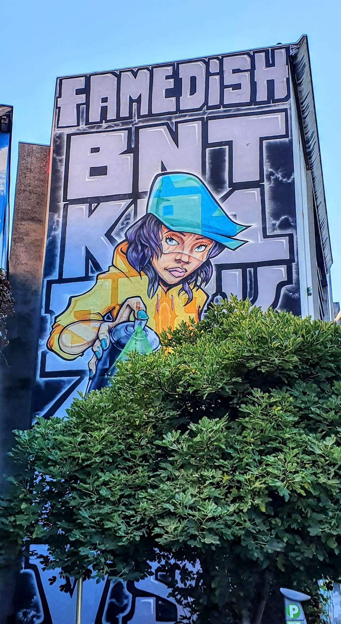 
								Street-art graffiti fresque 
								KillahOne, Srek 
									3 Rue Lt de Quinsonnas
									38000
									Grenoble
									France 
									Pat Finder
								Street-Art-Safari.com
								