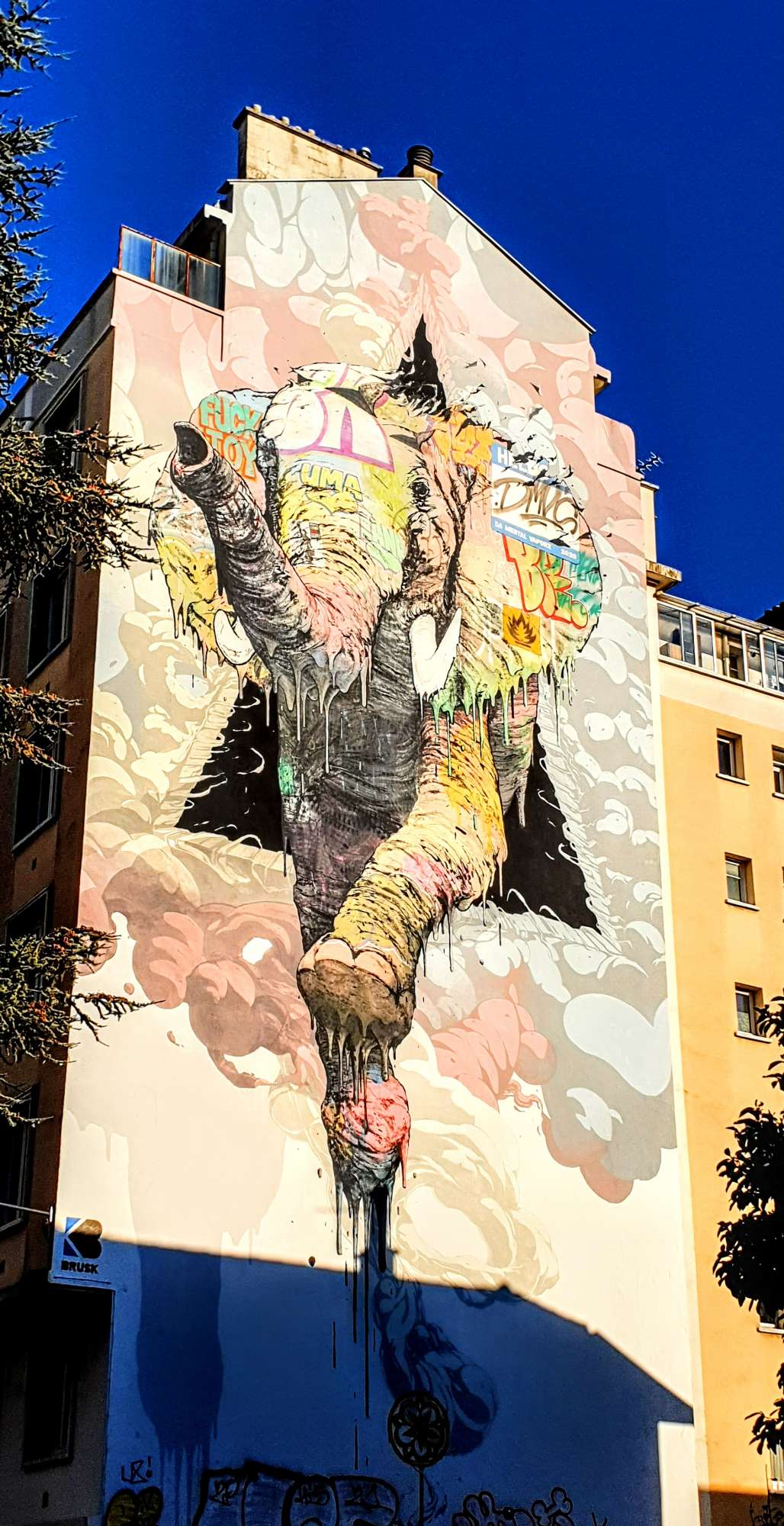 
								Street-art graffiti fresque 
								Brusk 
									39 Rue Mallifaud
									38100
									Grenoble
									France 
									Pat Finder
								Street-Art-Safari.com
								