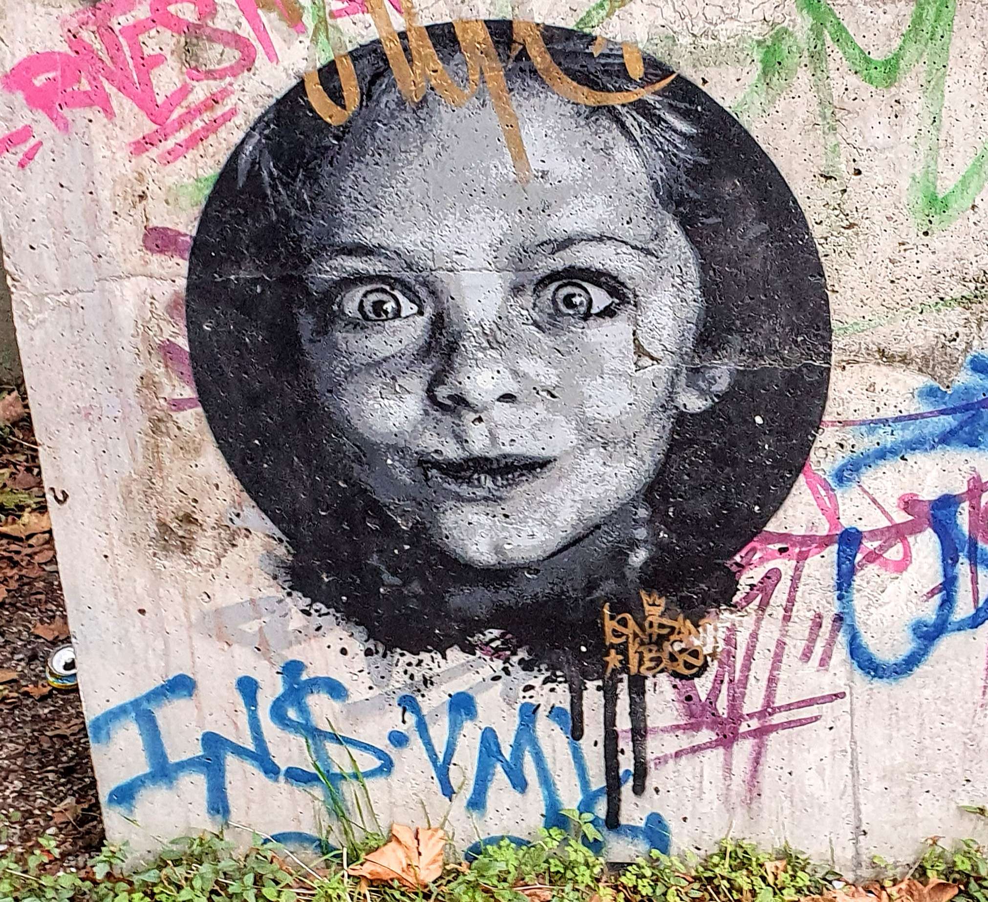 
								Street-art graffiti fresque 
								L'enfant libre 
									3 Rue Fran&ccedil;ois Raoult
									38000
									Grenoble
									France 
									Pat Finder
								Street-Art-Safari.com
								