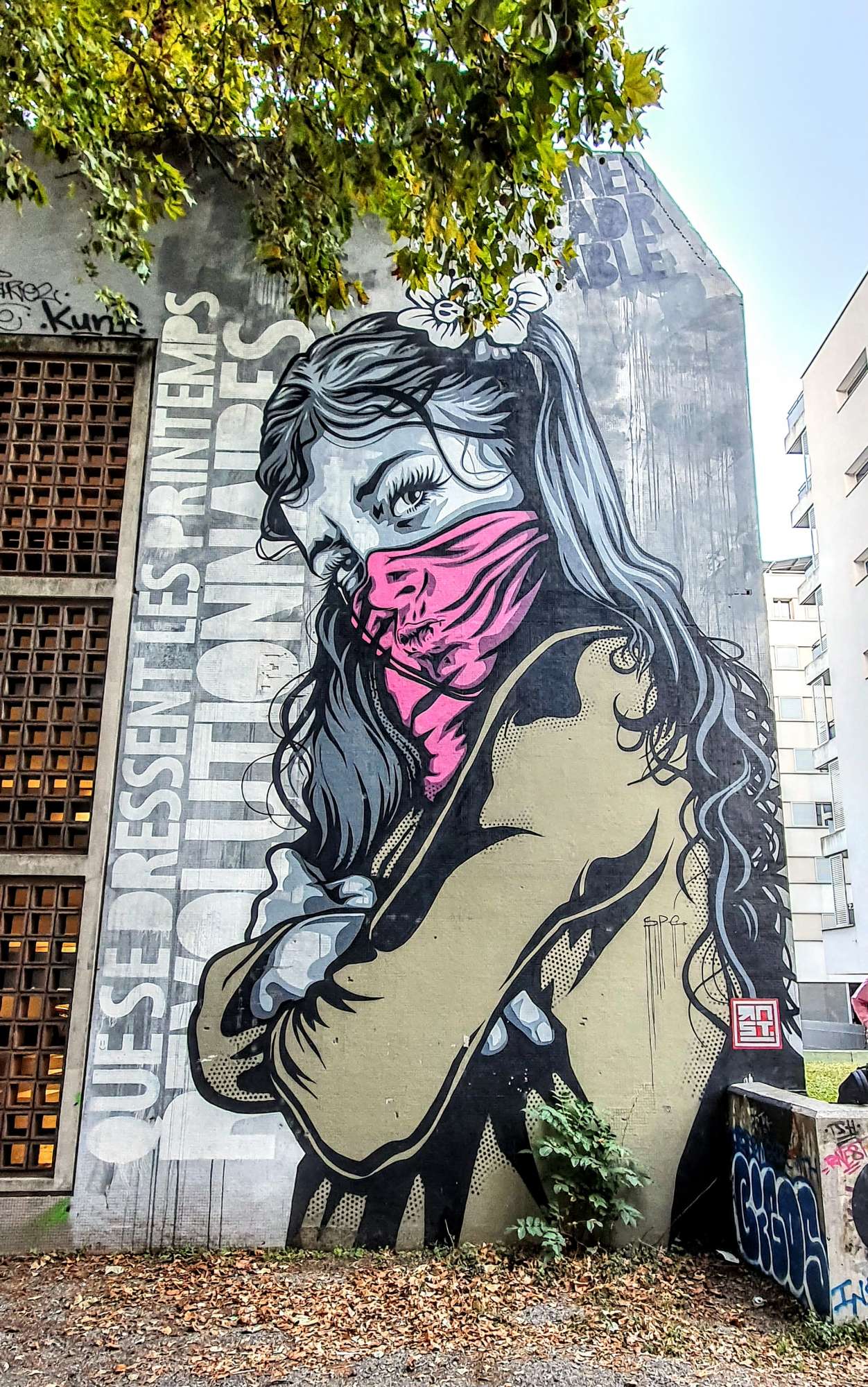 
								Street-art graffiti fresque 
								RNST 
									3 Rue Fran&ccedil;ois Raoult
									38000
									Grenoble
									France 
									Pat Finder
								Street-Art-Safari.com
								