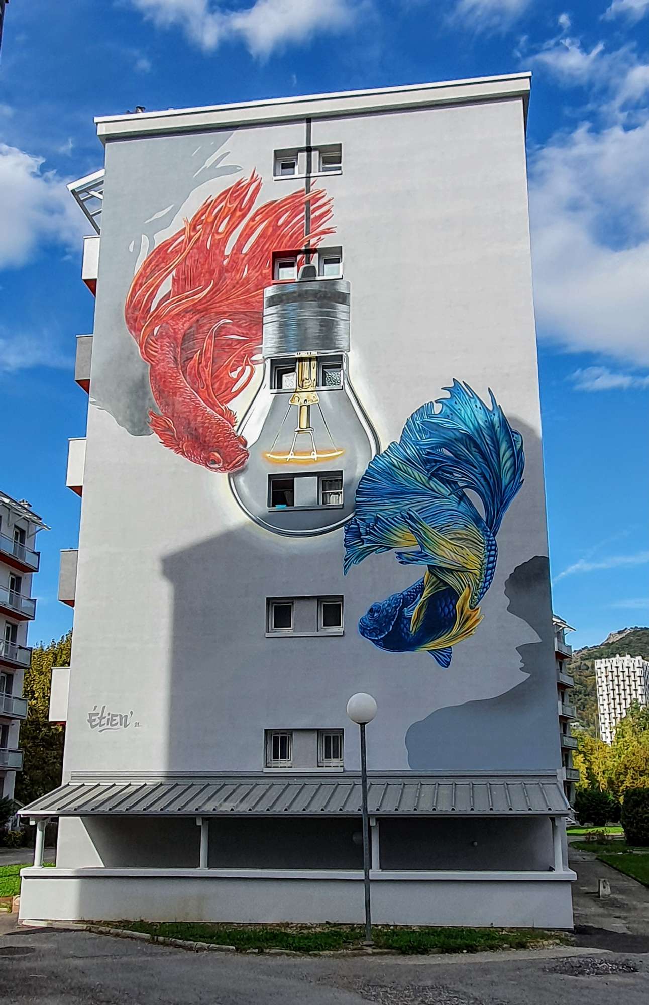 
								Street-art graffiti fresque 
								&Eacute;tien 
									12 Boulevard G&eacute;n&eacute;ral Gallieni
									38100
									Grenoble
									France 
									Pat Finder
								Street-Art-Safari.com
								