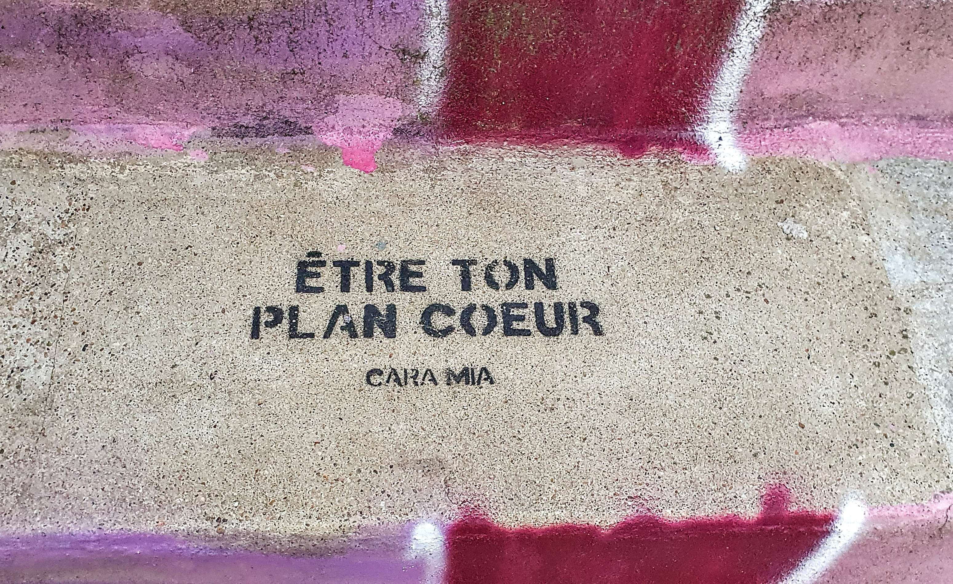 
								Street-art graffiti fresque 
								Cara Mia 
									1 Rue Diderot
									69001
									Lyon
									France 
									Pat Finder
								Street-Art-Safari.com
								