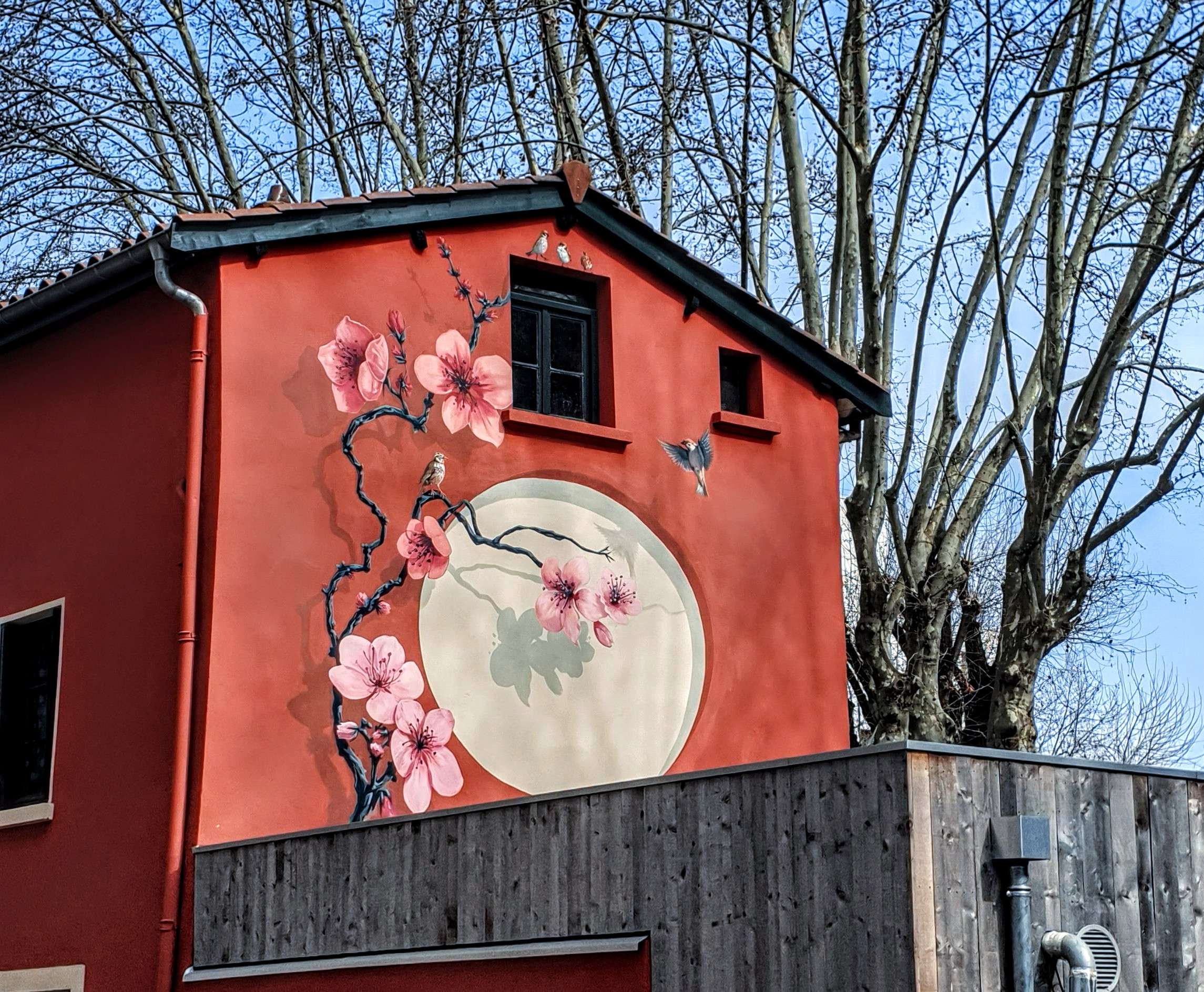 
								Street-art graffiti fresque 
								 
									25 Rue Flachet
									69100
									Villeurbanne
									France 
									Pat Finder
								Street-Art-Safari.com
								