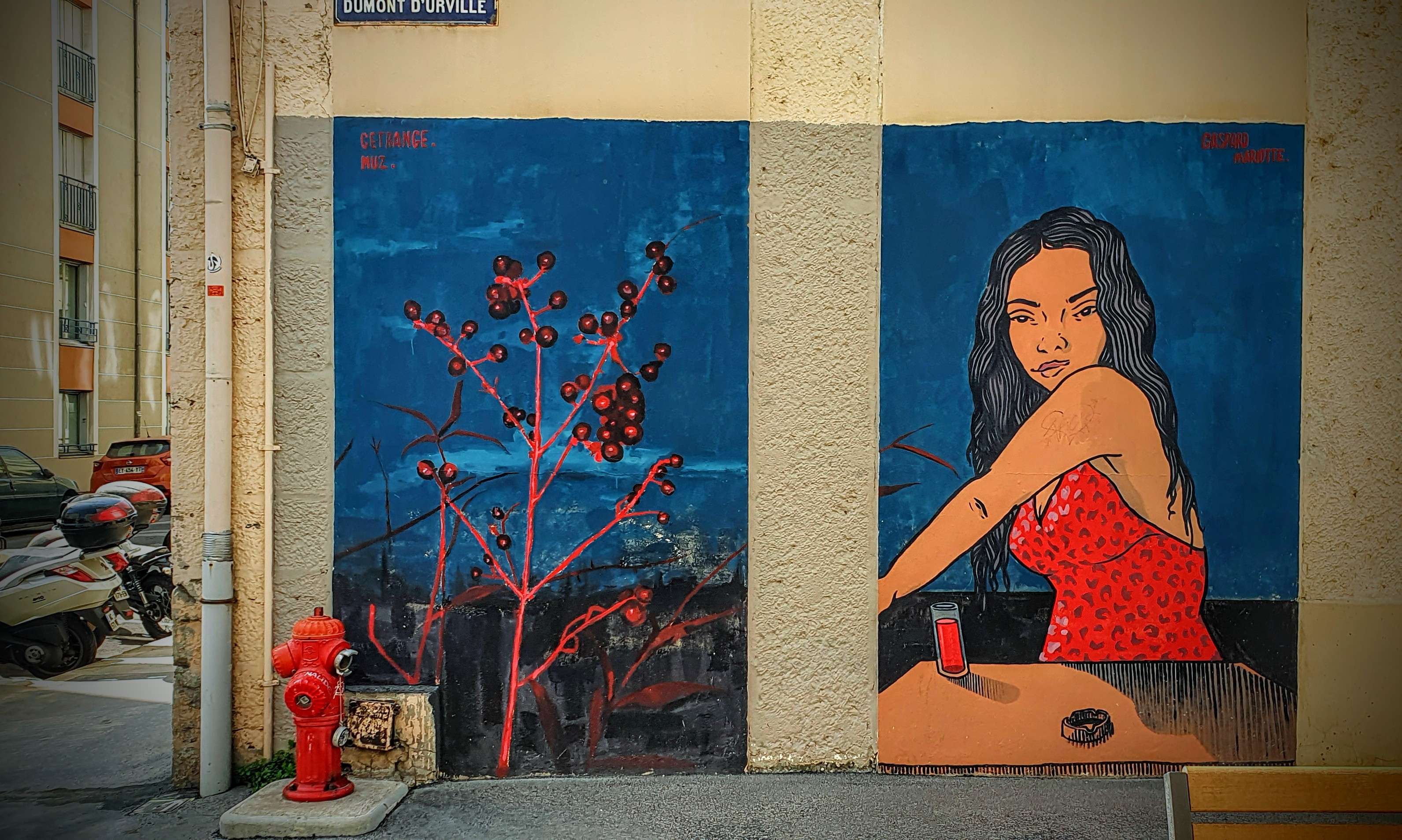 
								Street-art graffiti fresque 
								 
									31 Rue d'Ivry
									69004
									Lyon
									France 
									Pat Finder
								Street-Art-Safari.com
								