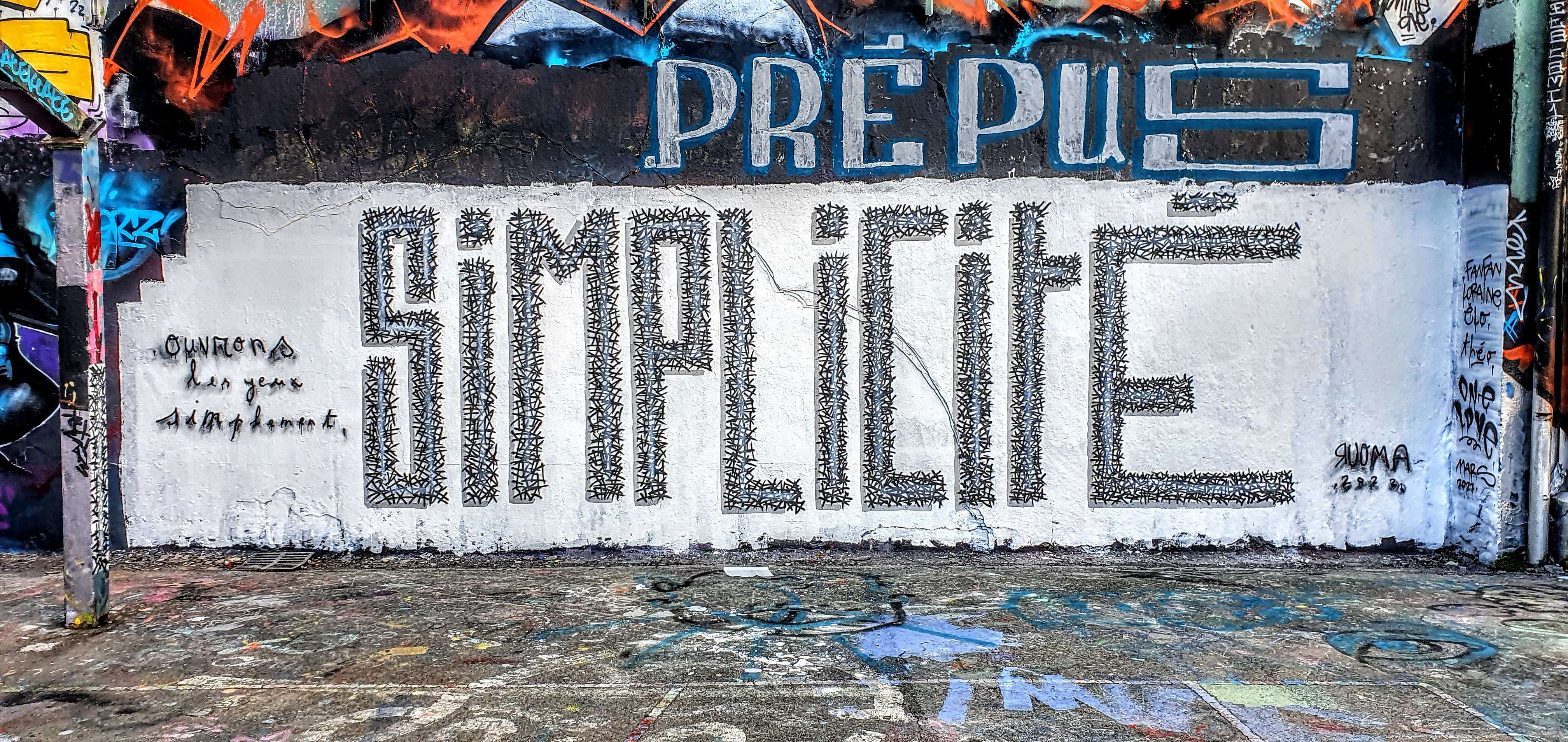 
								Street-art graffiti fresque 
								 
									25 Rue de Nuits
									69004
									Lyon
									France 
									Pat Finder
								Street-Art-Safari.com
								