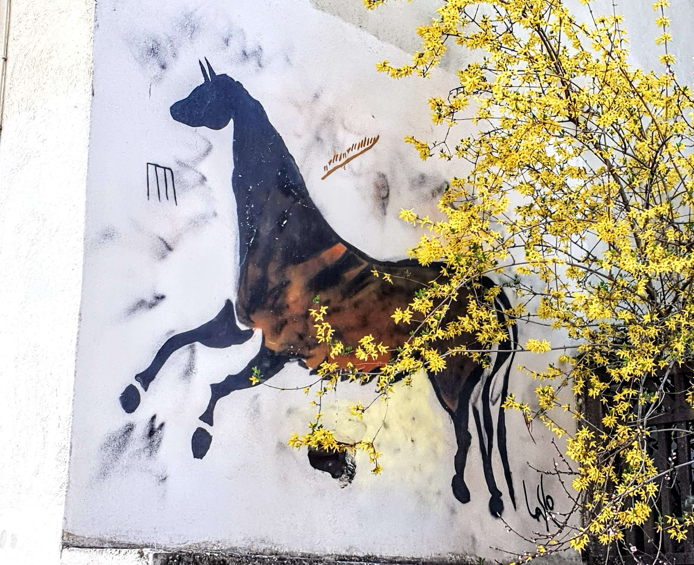 
								Street-art graffiti fresque 
								Lasco 
									16 Rue Jeanne-Marie Celu
									69004
									Lyon
									France 
									Pat Finder
								Street-Art-Safari.com
								