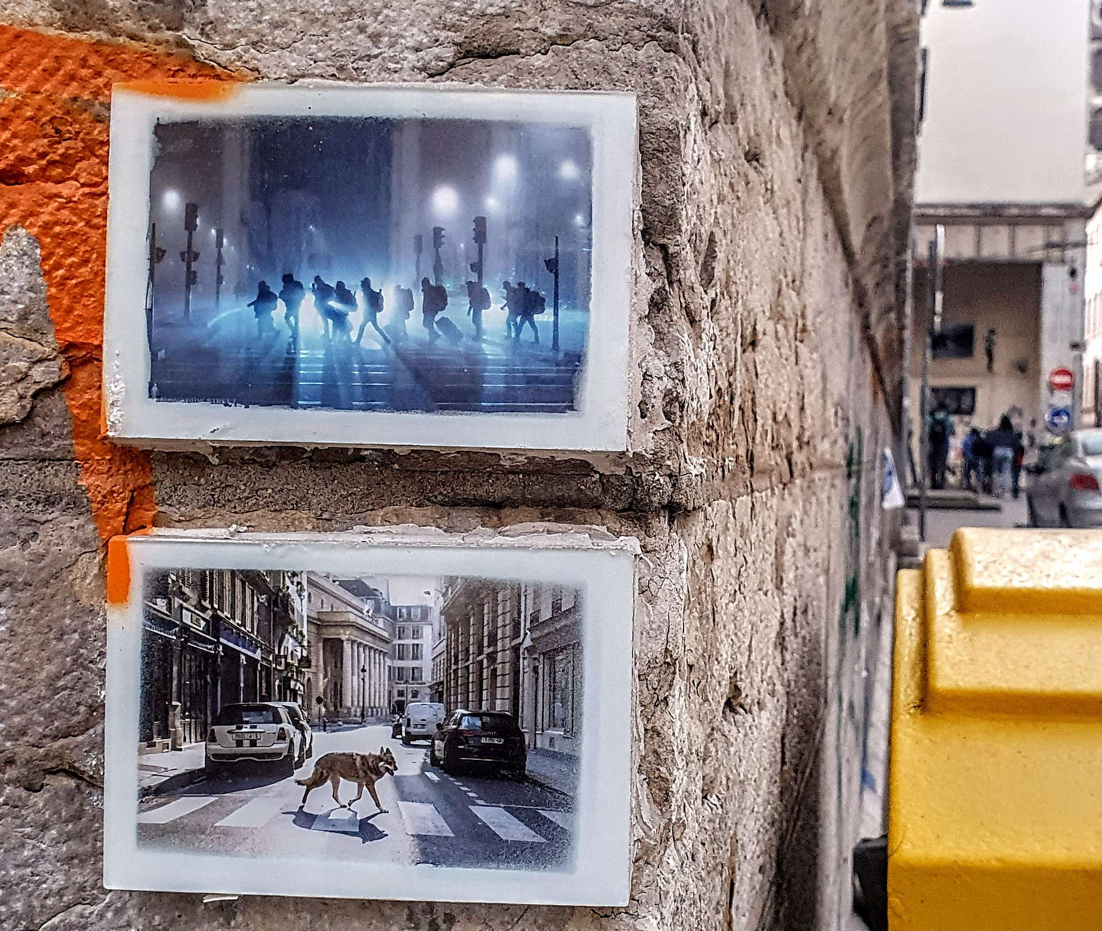 
								Street-art graffiti fresque 
								BackToTheStreet 
									78 Mont&eacute;e de la Grande-C&ocirc;te
									69001
									Lyon
									France 
									Pat Finder
								Street-Art-Safari.com
								