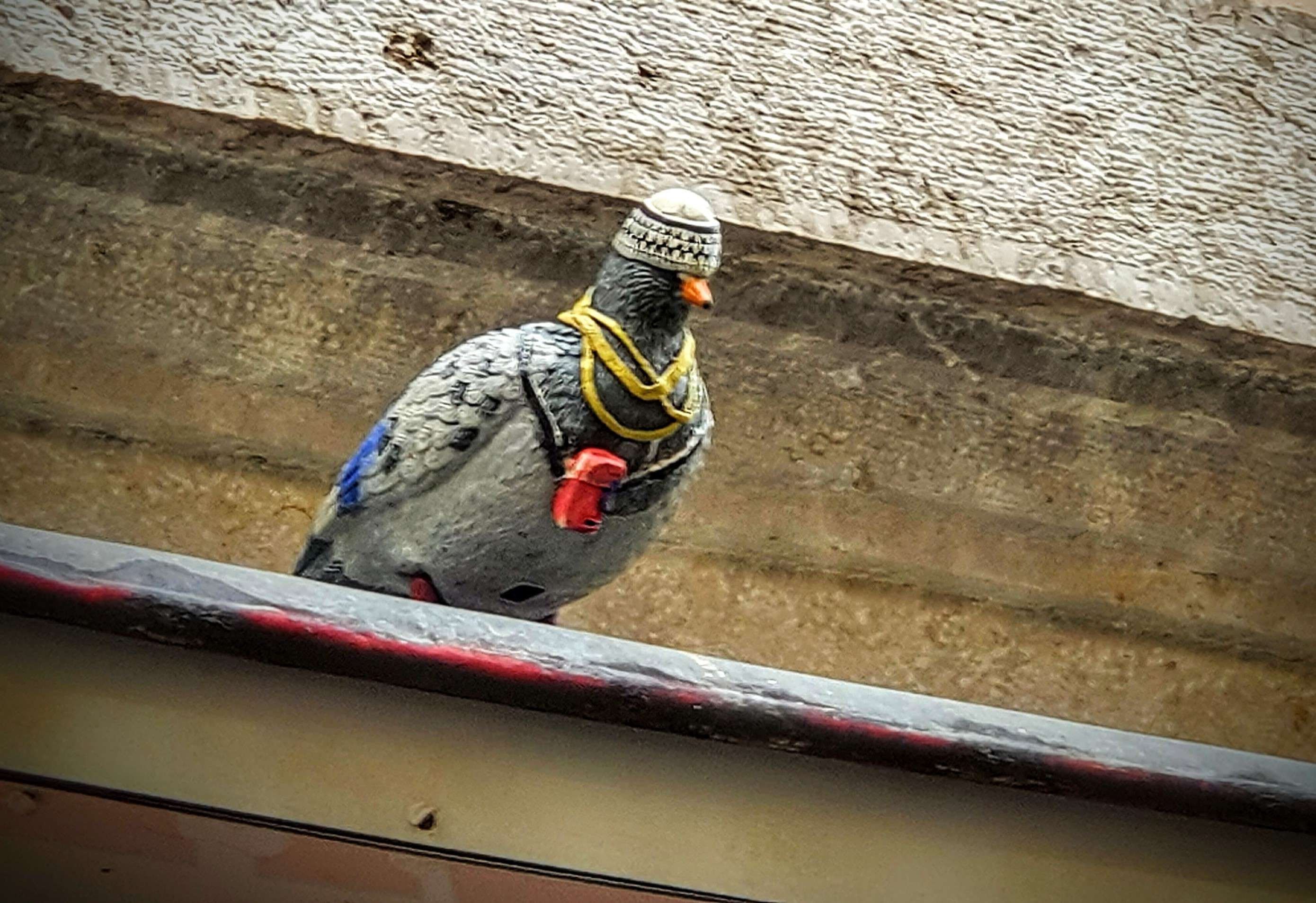 
								Street-art graffiti fresque 
								 
									15 Rue Pouteau
									69001
									Lyon
									France 
									Pat Finder
								Street-Art-Safari.com
								