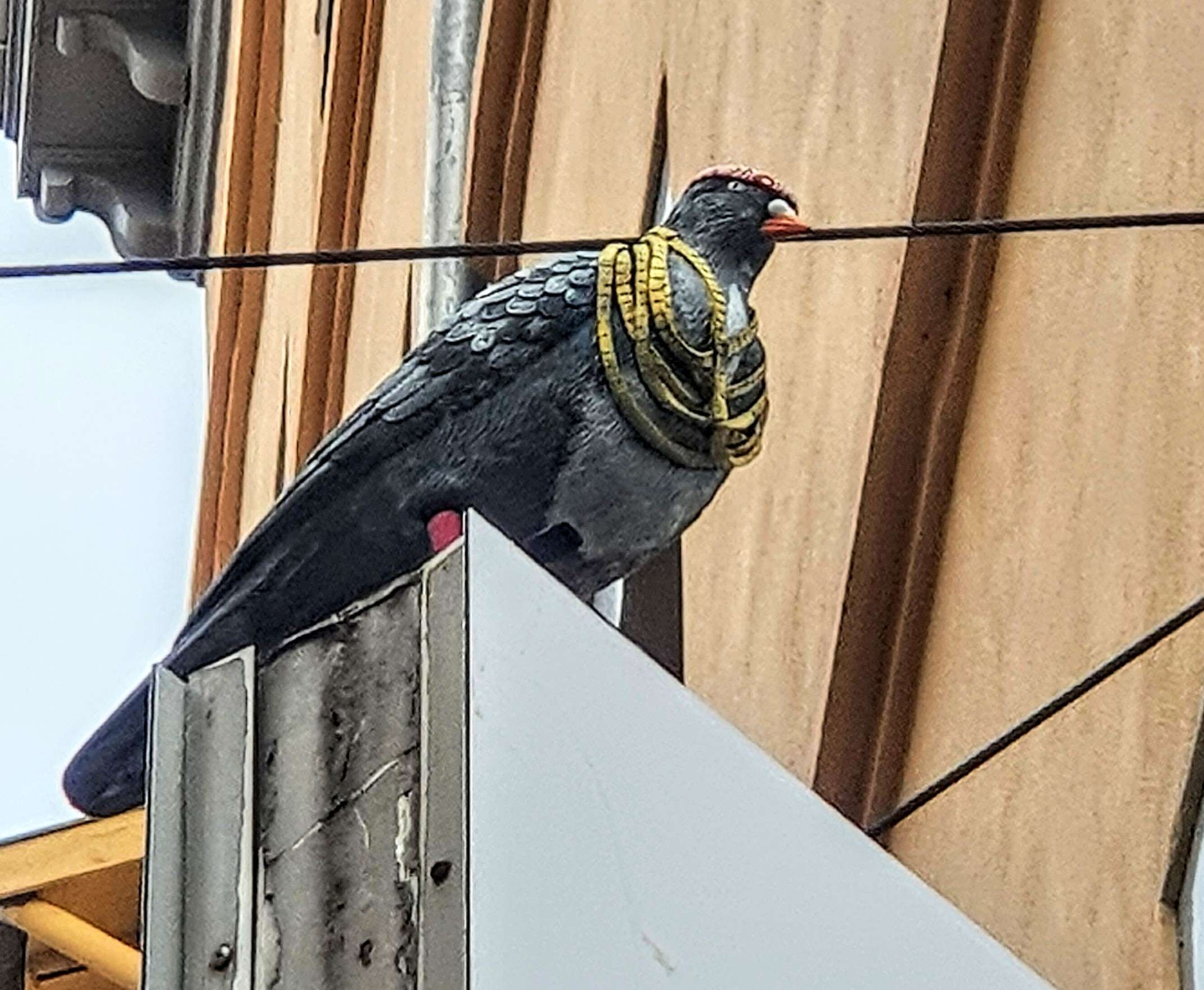 
								Street-art graffiti fresque 
								 
									15 Rue Pouteau
									69001
									Lyon
									France 
									Pat Finder
								Street-Art-Safari.com
								