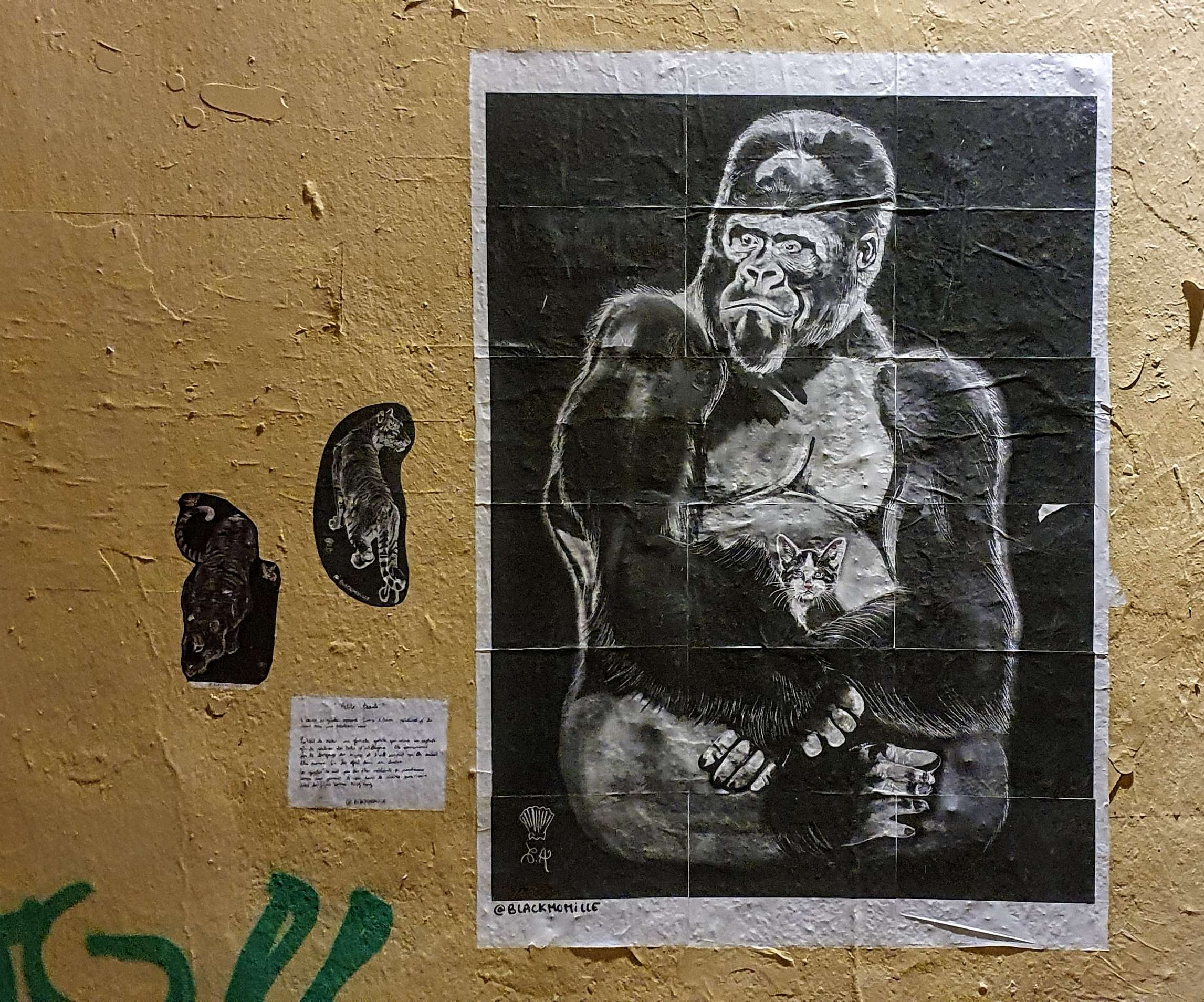 
								Street-art graffiti fresque 
								Blackmomille 
									25 Rue Ren&eacute; Leynaud
									69001
									Lyon
									France 
									Pat Finder
								Street-Art-Safari.com
								