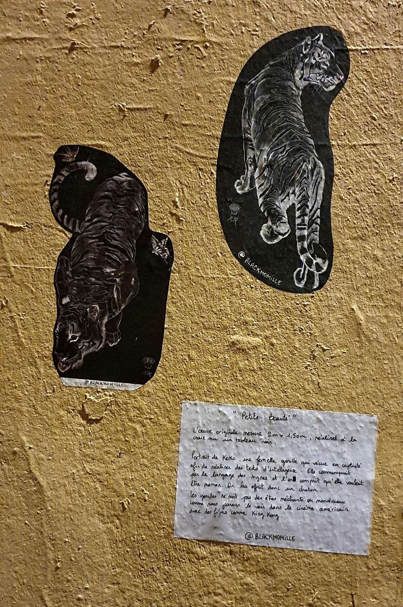 
								Street-art graffiti fresque 
								Blackmomille 
									25 Rue Ren&eacute; Leynaud
									69001
									Lyon
									France 
									Pat Finder
								Street-Art-Safari.com
								