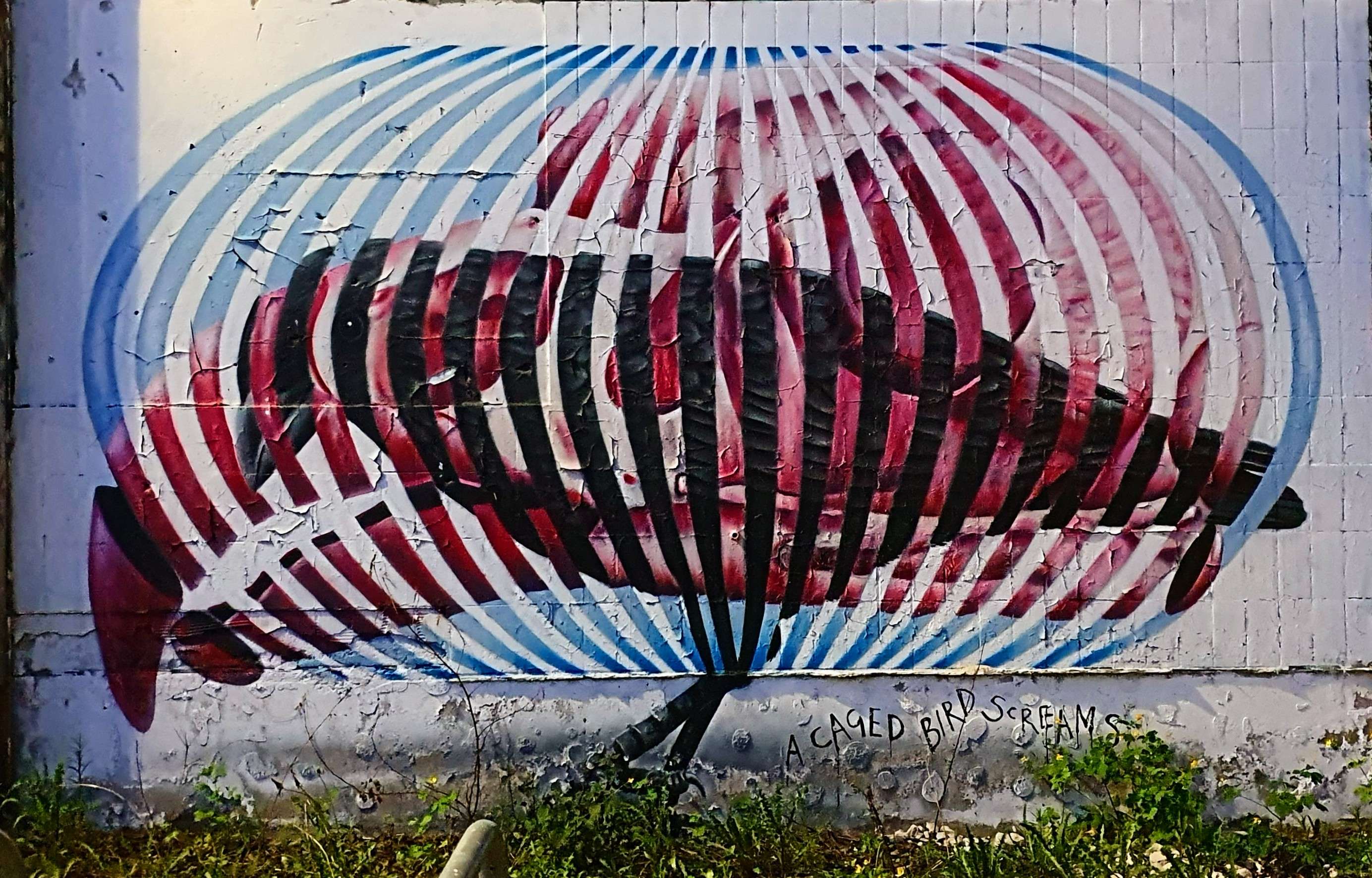 
								Street-art graffiti fresque 
								Cee Pil 
									99 Revaler Stra&szlig;e
									10245
									Berlin
									Germany 
									Pat Finder
								Street-Art-Safari.com
								