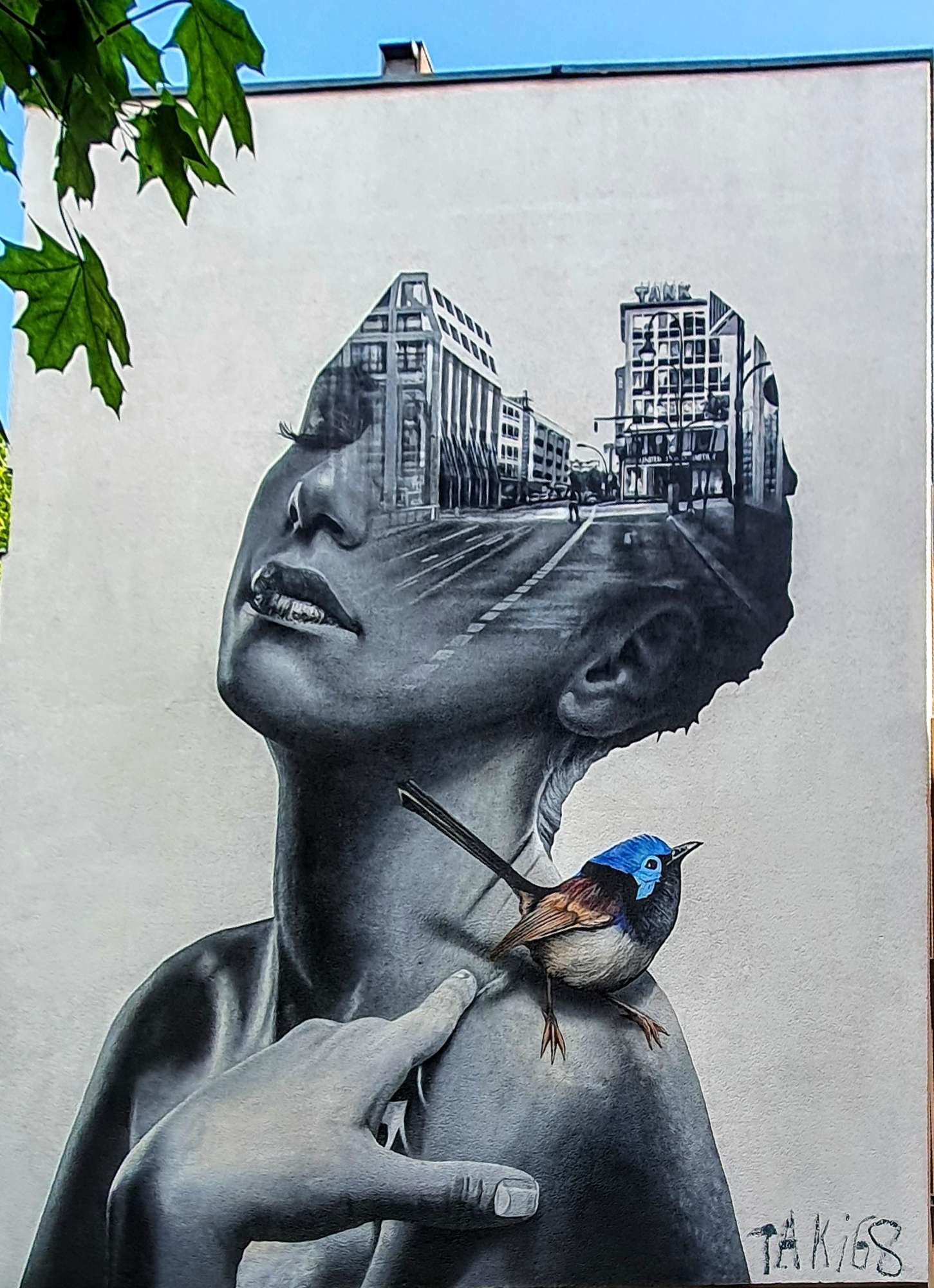 
								Street-art graffiti fresque 
								 
									9 Manteuffelstra&szlig;e
									10997
									Berlin
									Germany 
									Pat Finder
								Street-Art-Safari.com
								